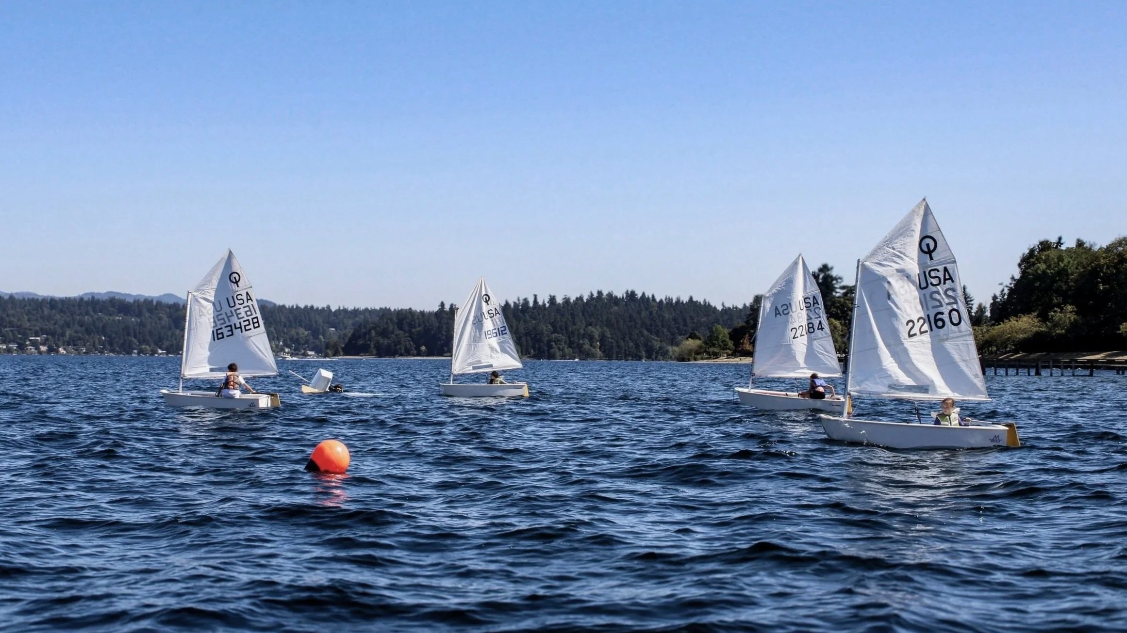 Multiple sailing boats on lake