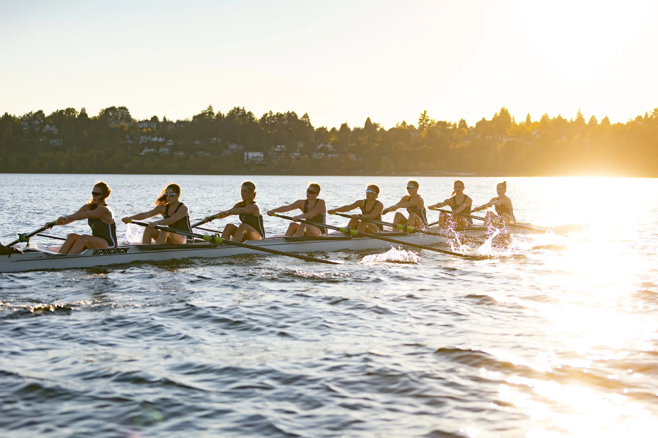 A group of women in a rowing team practicing on a lake during sunset.