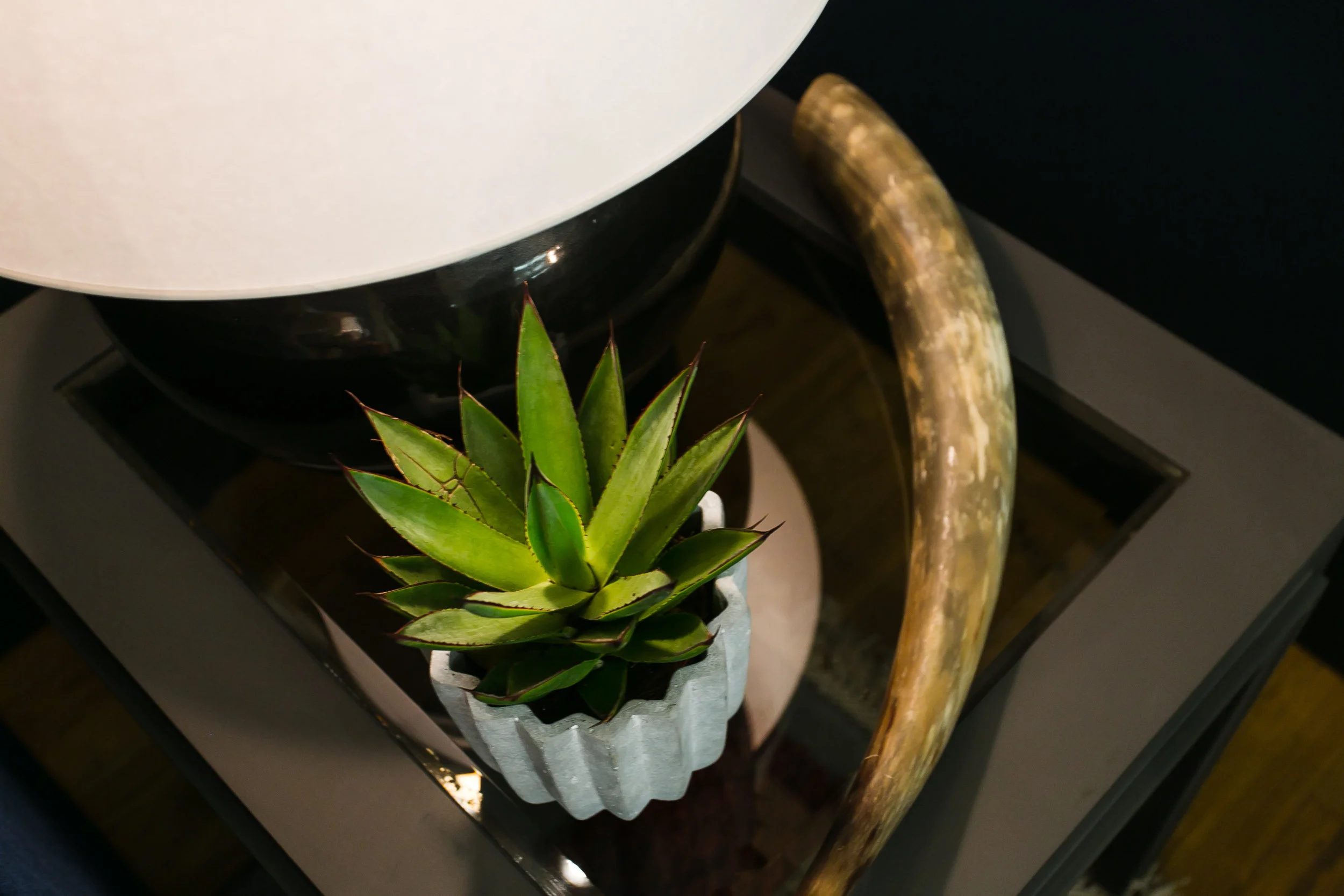 Housing Works Design on a Dime-Anthony-0018.jpg