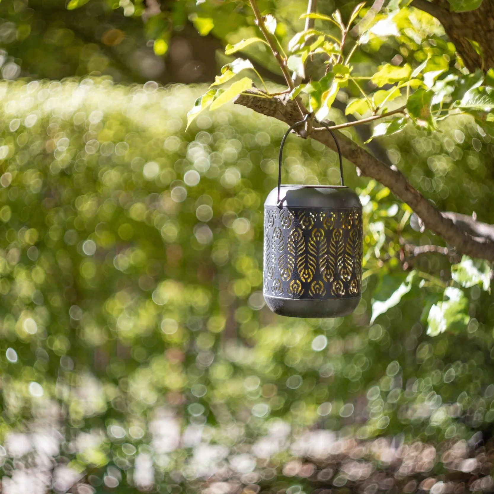 helios-44m-swirly-bokeh-v0-2wy4ceqsdzza1.jpg