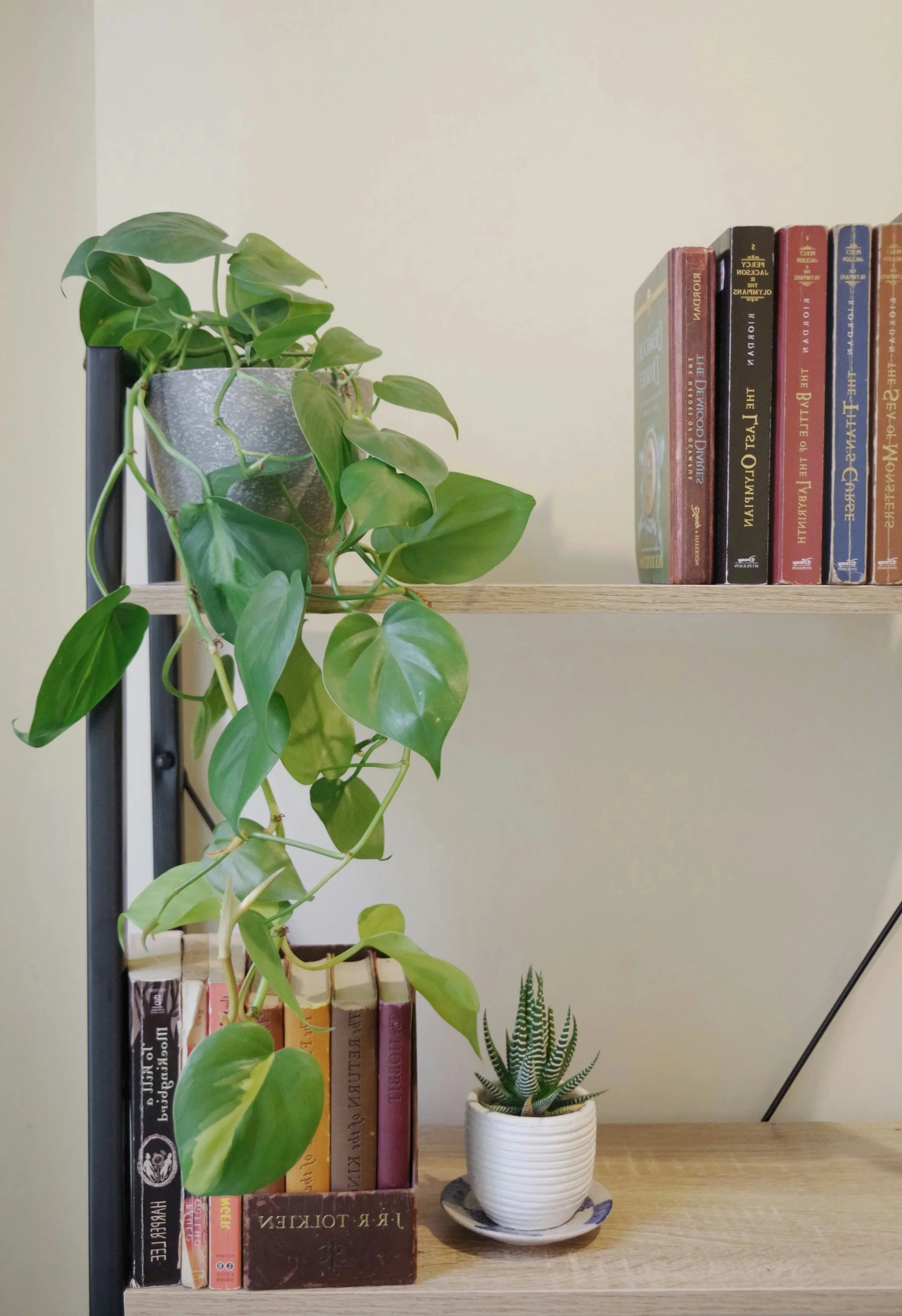 A wooden bookshelf with books and potted plants, including a large trailing plant and a small spiky succulent, against a light-colored wall.
