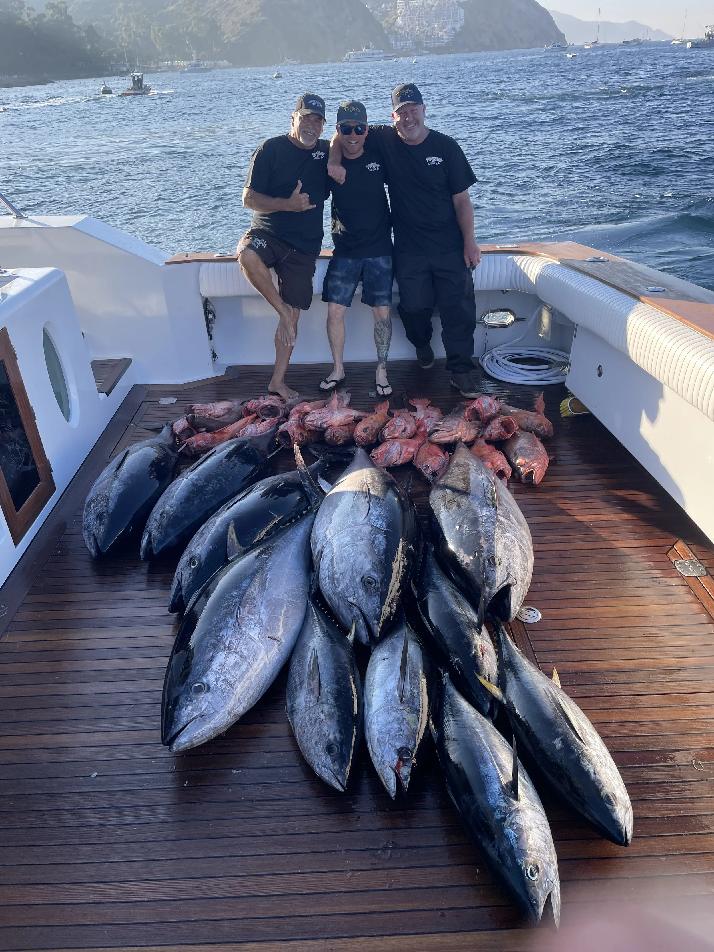 a haul of bluefin and yellowfin tuna, and rockfish from the offshore banks in southern california