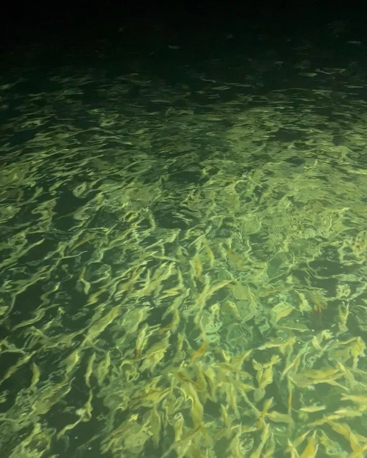 After what felt like never ending wind this winter and early spring we got a great window last week that lined up perfectly with the full moon. 
With the freezer looking bleak on the squid front and wanting to stretch the new boats legs; I grabbed a 