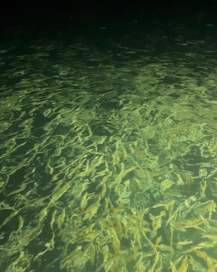 After what felt like never ending wind this winter and early spring we got a great window last week that lined up perfectly with the full moon. 
With the freezer looking bleak on the squid front and wanting to stretch the new boats legs; I grabbed a 