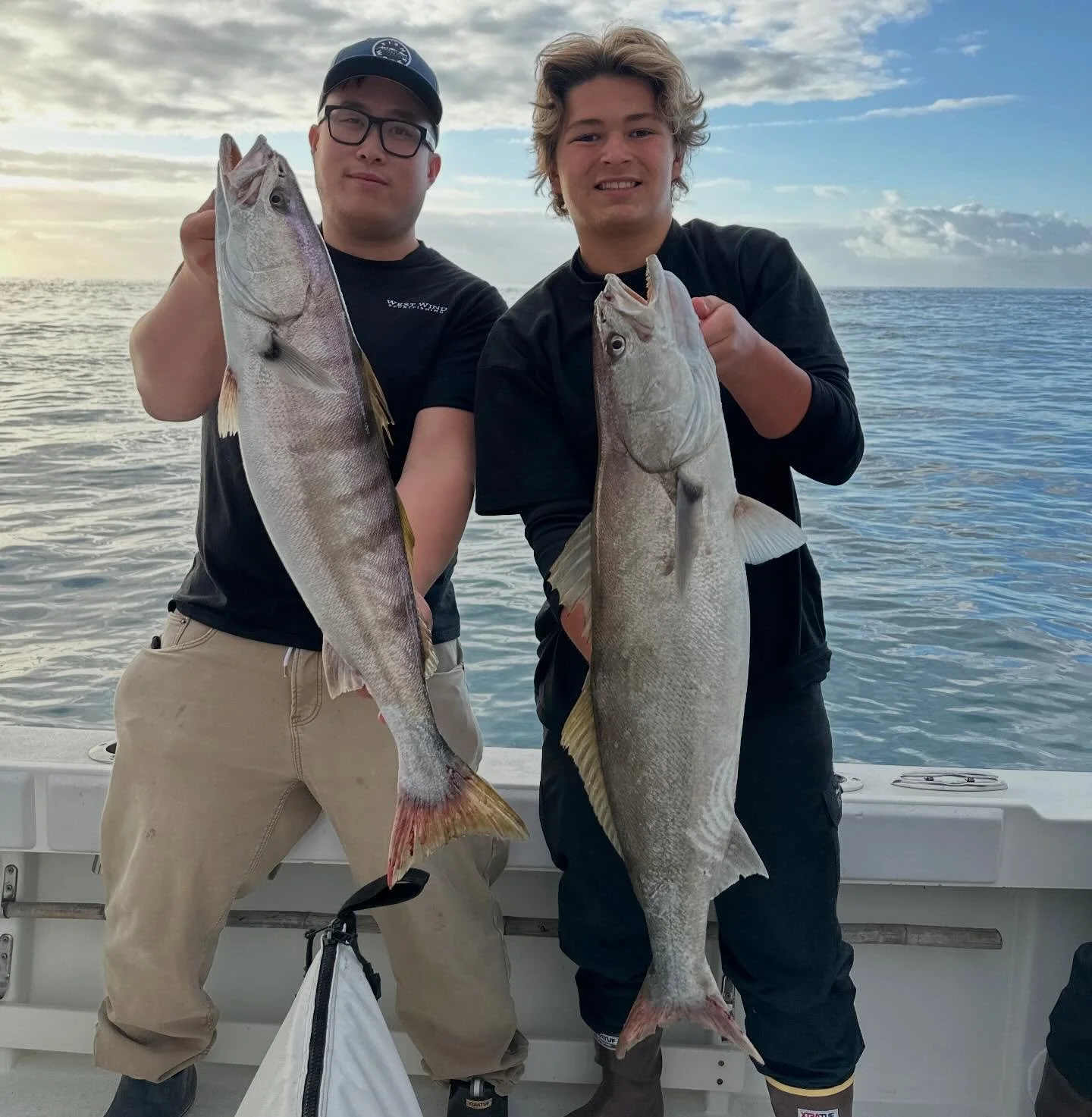 After losing a few days to the wind and sniffing around the beach we sent it back to our favorite rock today in beautiful weather. 

In a tiny pocket of conditions we were able to sneak two keeper Seabass past the seals before the island does what it