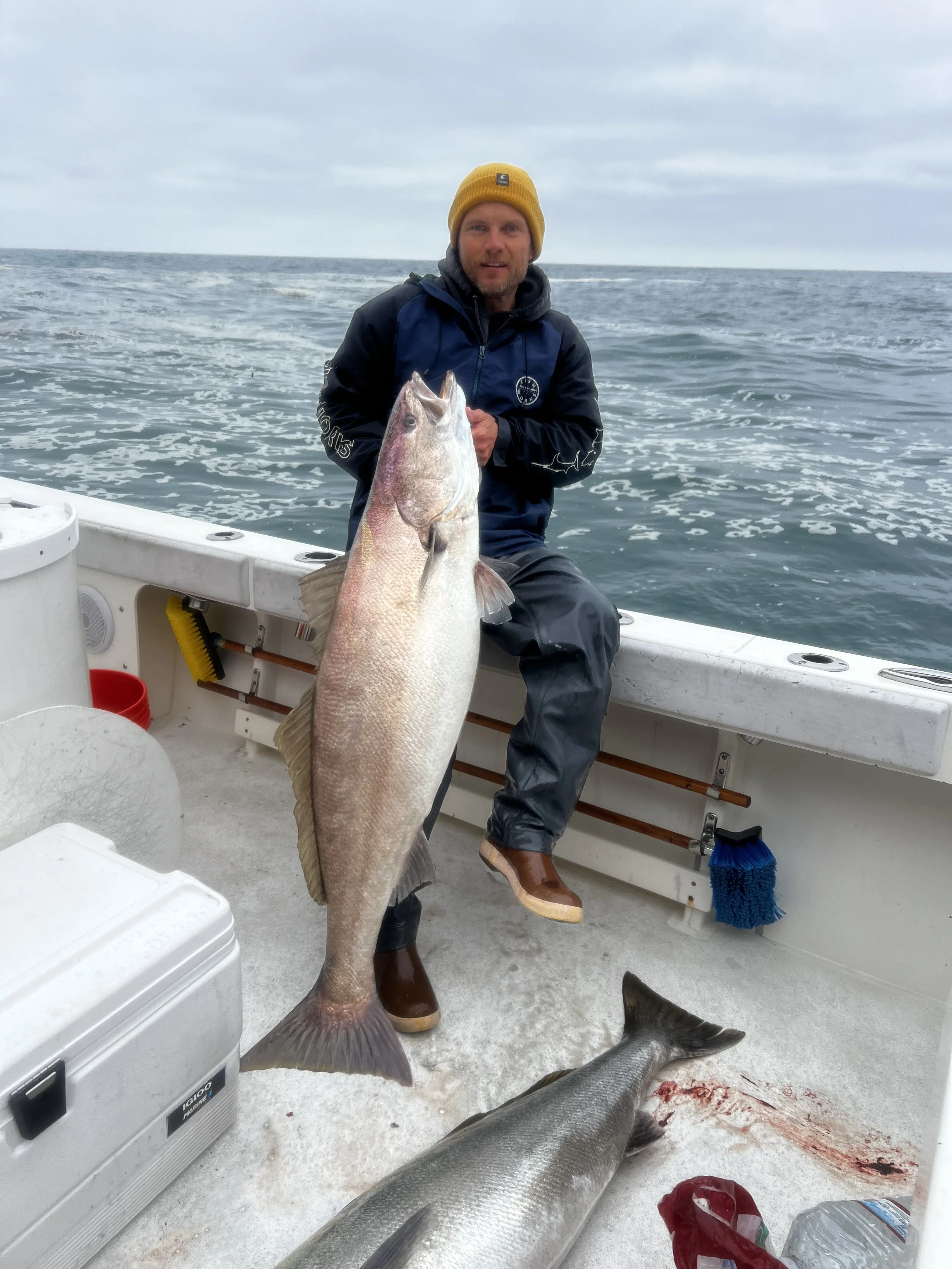 Captain Wes Pierson holding a White Seabass from Catalina Island, Ca