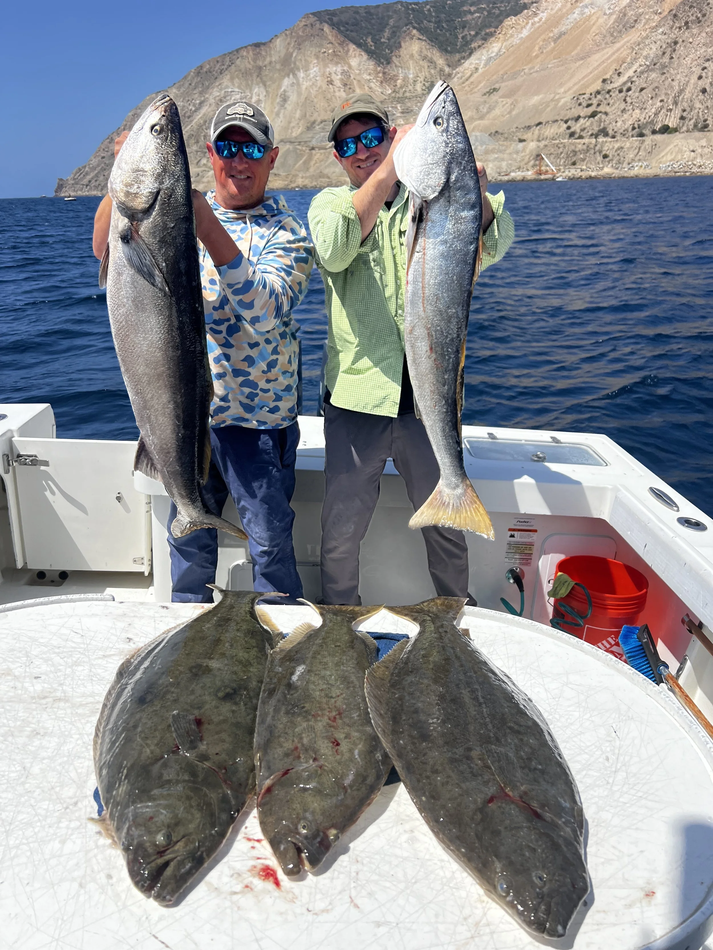 Catalina island white seabass and halibut