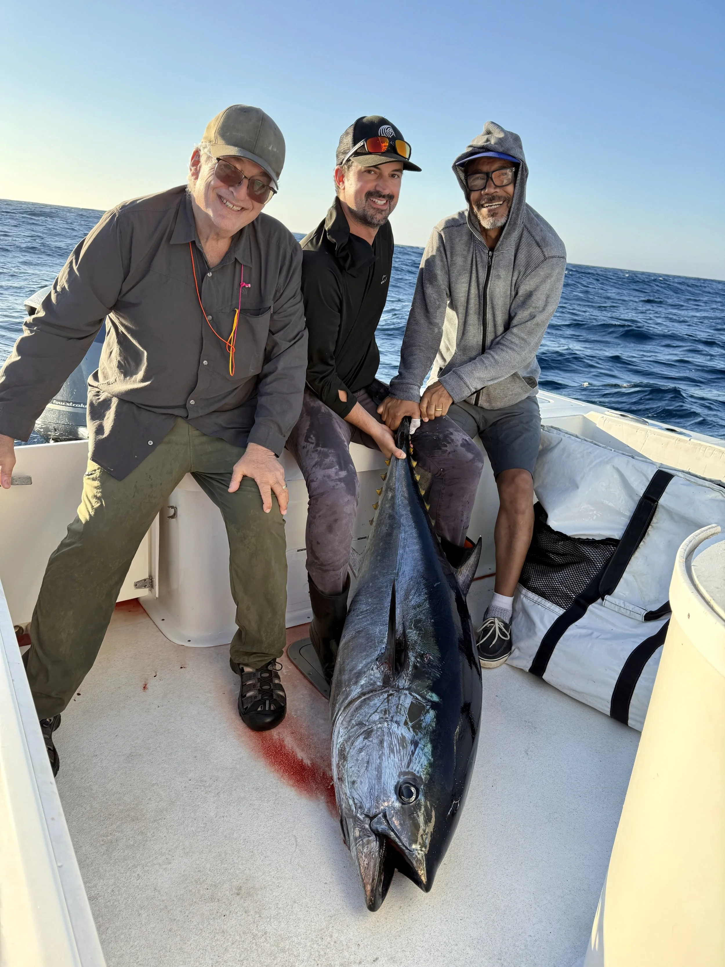 bluefin tuna kite fishing