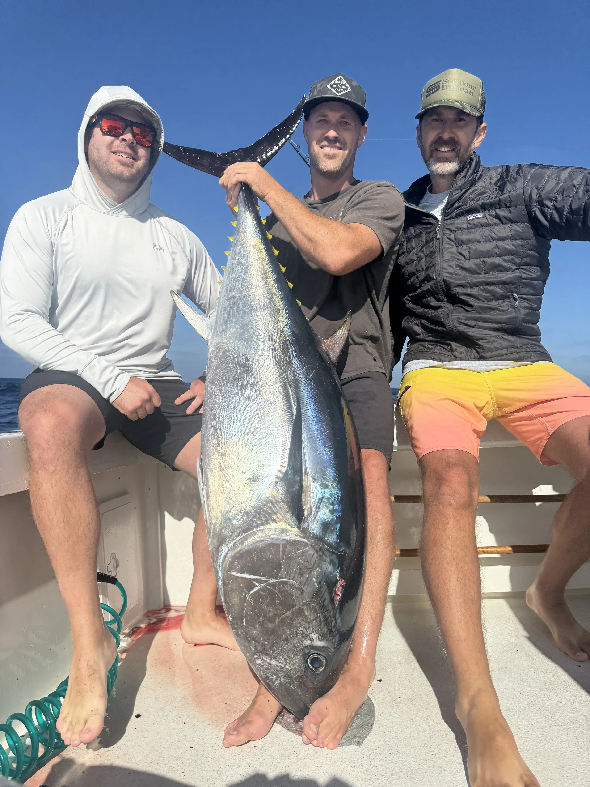 Bluefin tuna kite fishing
