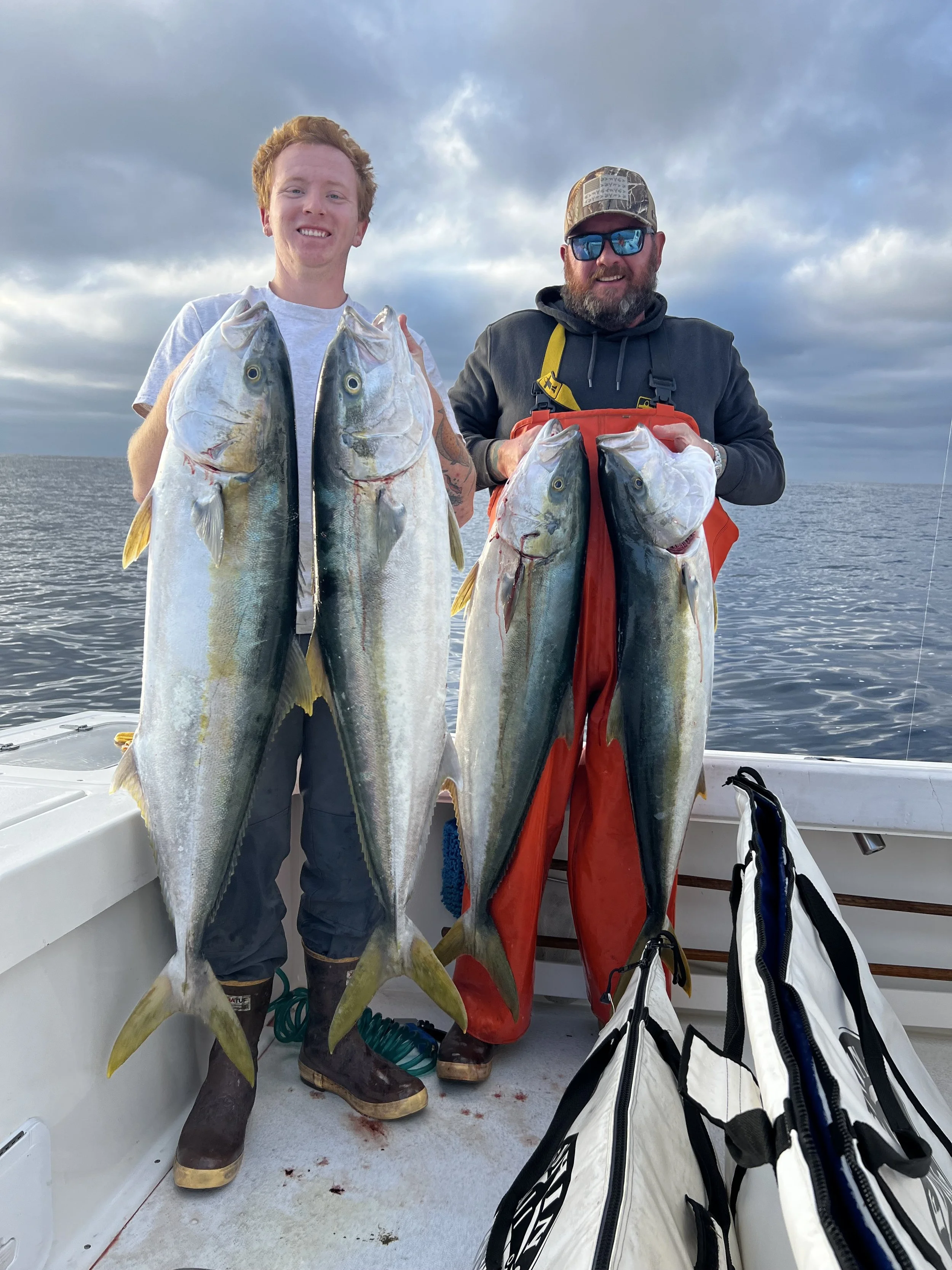 San Clemente Island Yellowtail