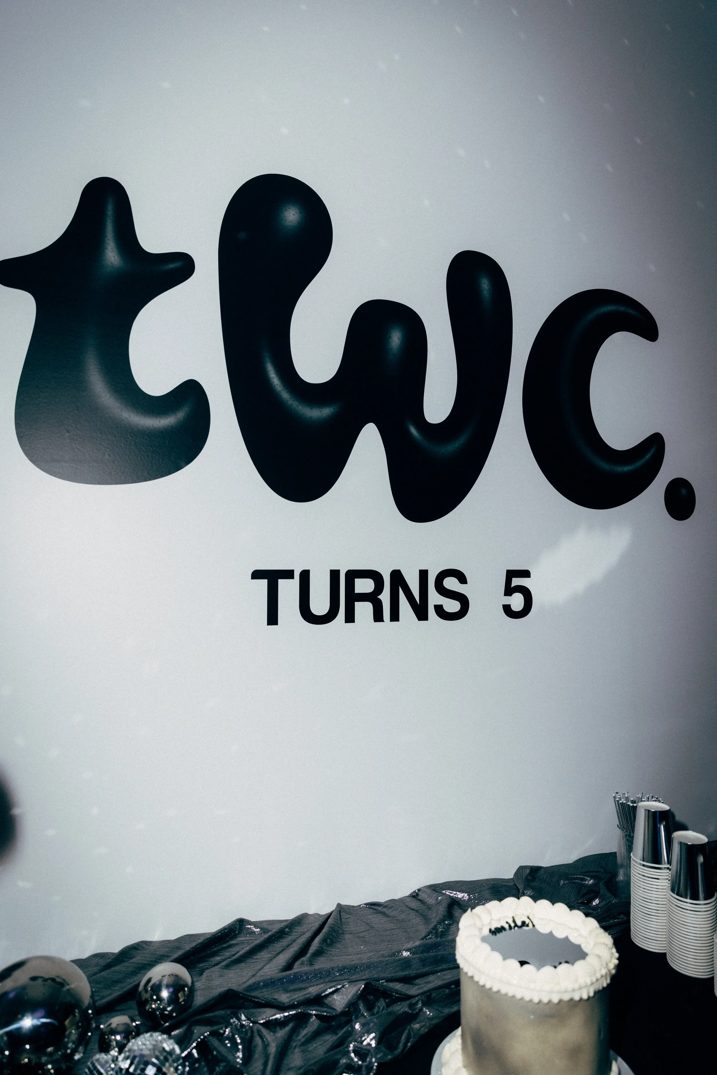 TWCLaunch_4000px-101.JPG
