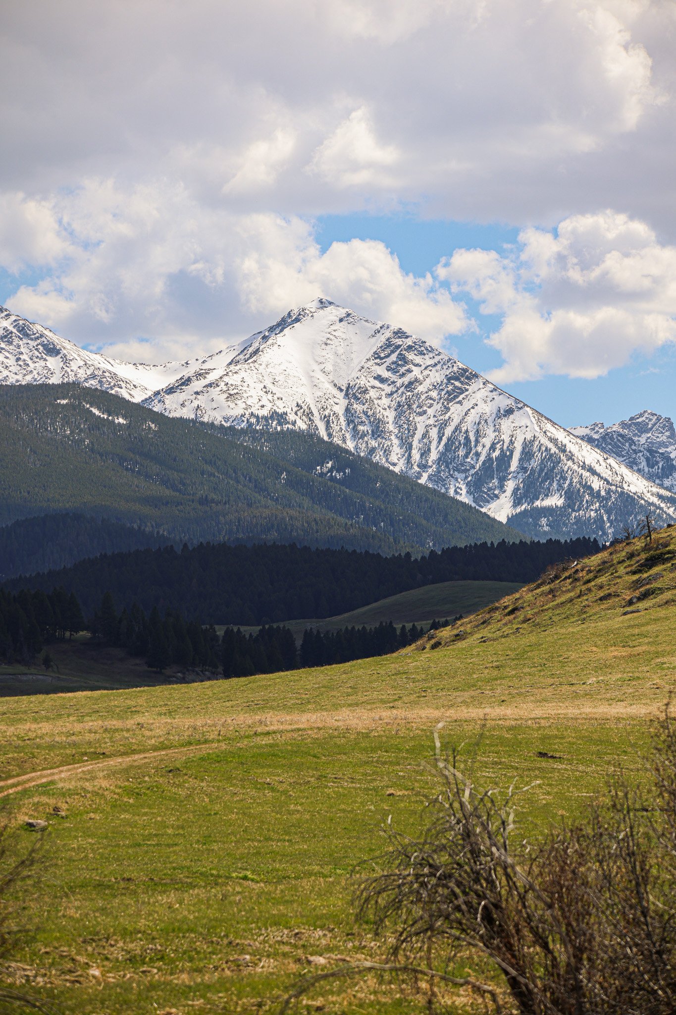 Snow-capped mountains under a partly cloudy sky with a greenfield in the foreground.
