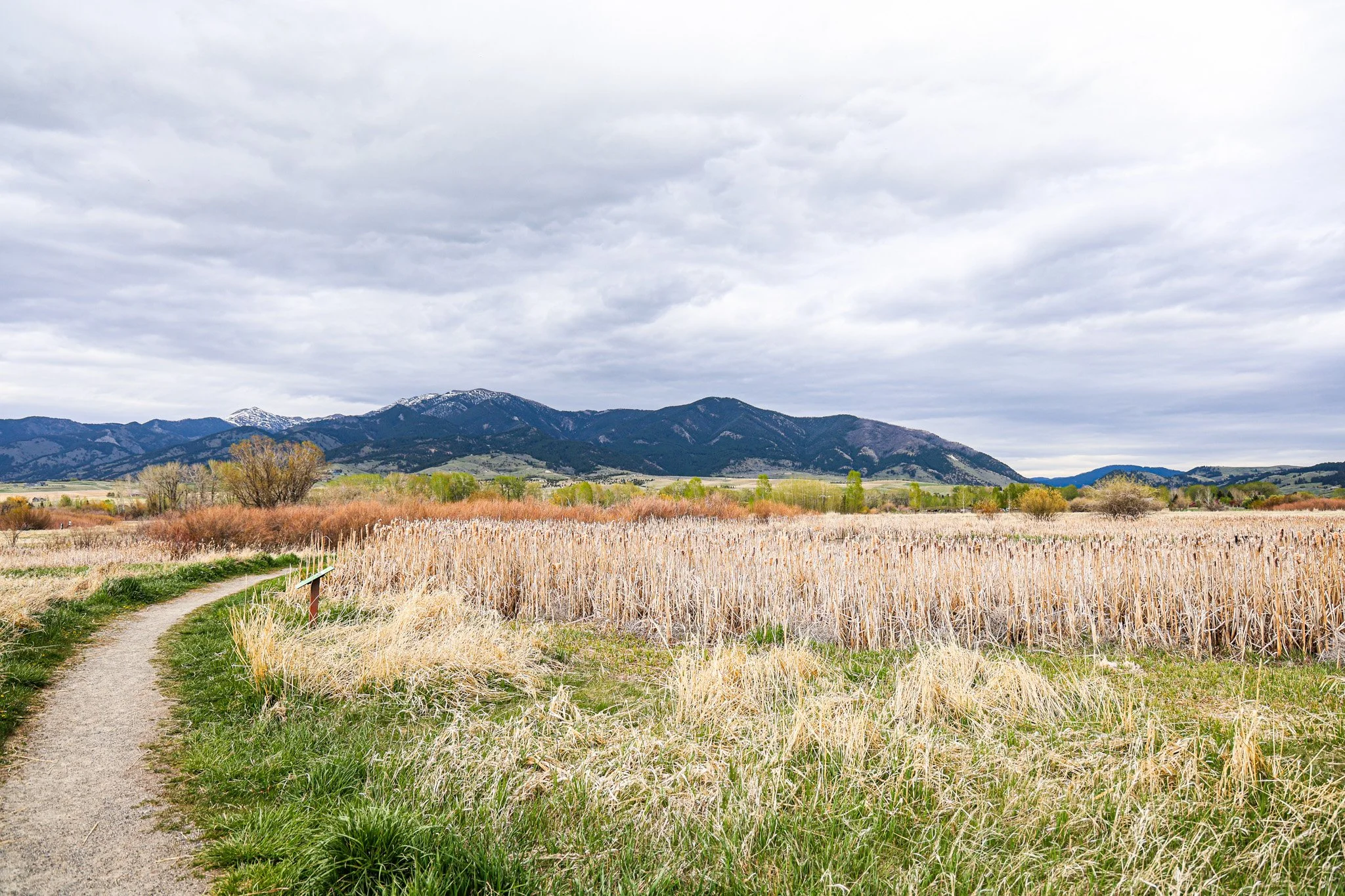 A scenic landscape with a dirt trail, tall grasses in the foreground, a field, trees, mountains, and a cloudy sky in the background.