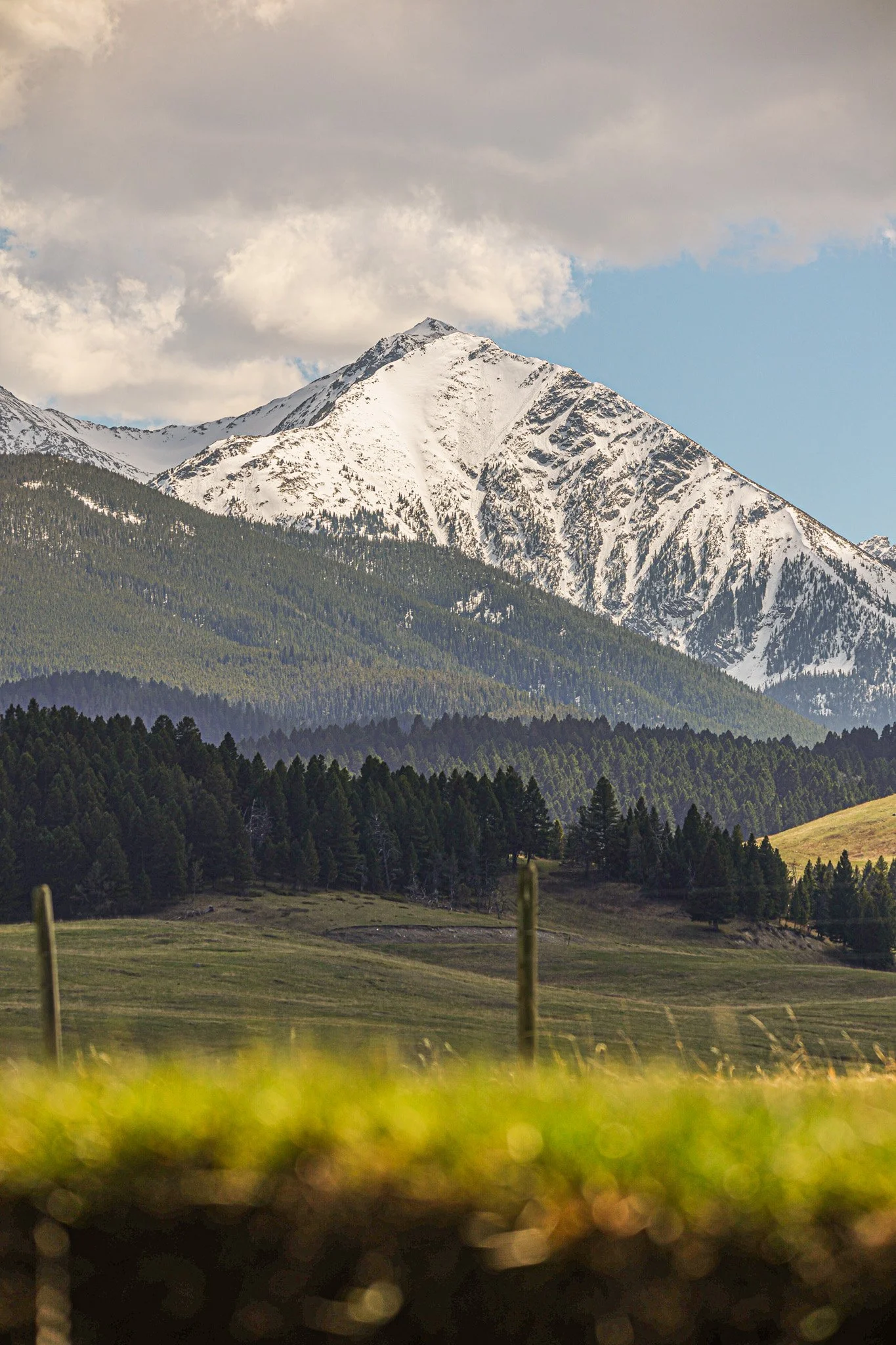 Snow-capped mountain with forested slopes under a cloudy sky.