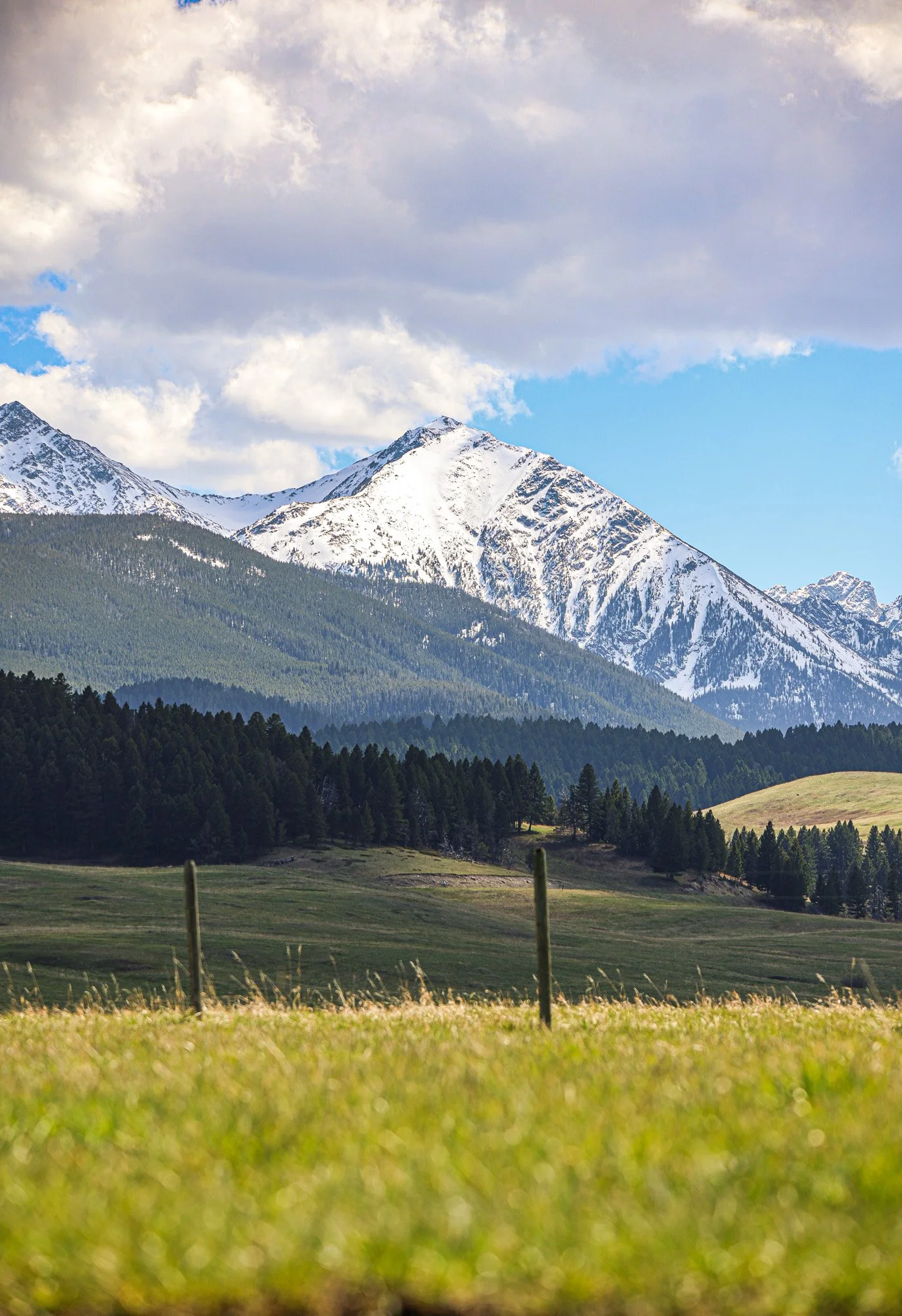 Snow-capped mountain peaks under a partly cloudy sky, with a green forest in the foreground.