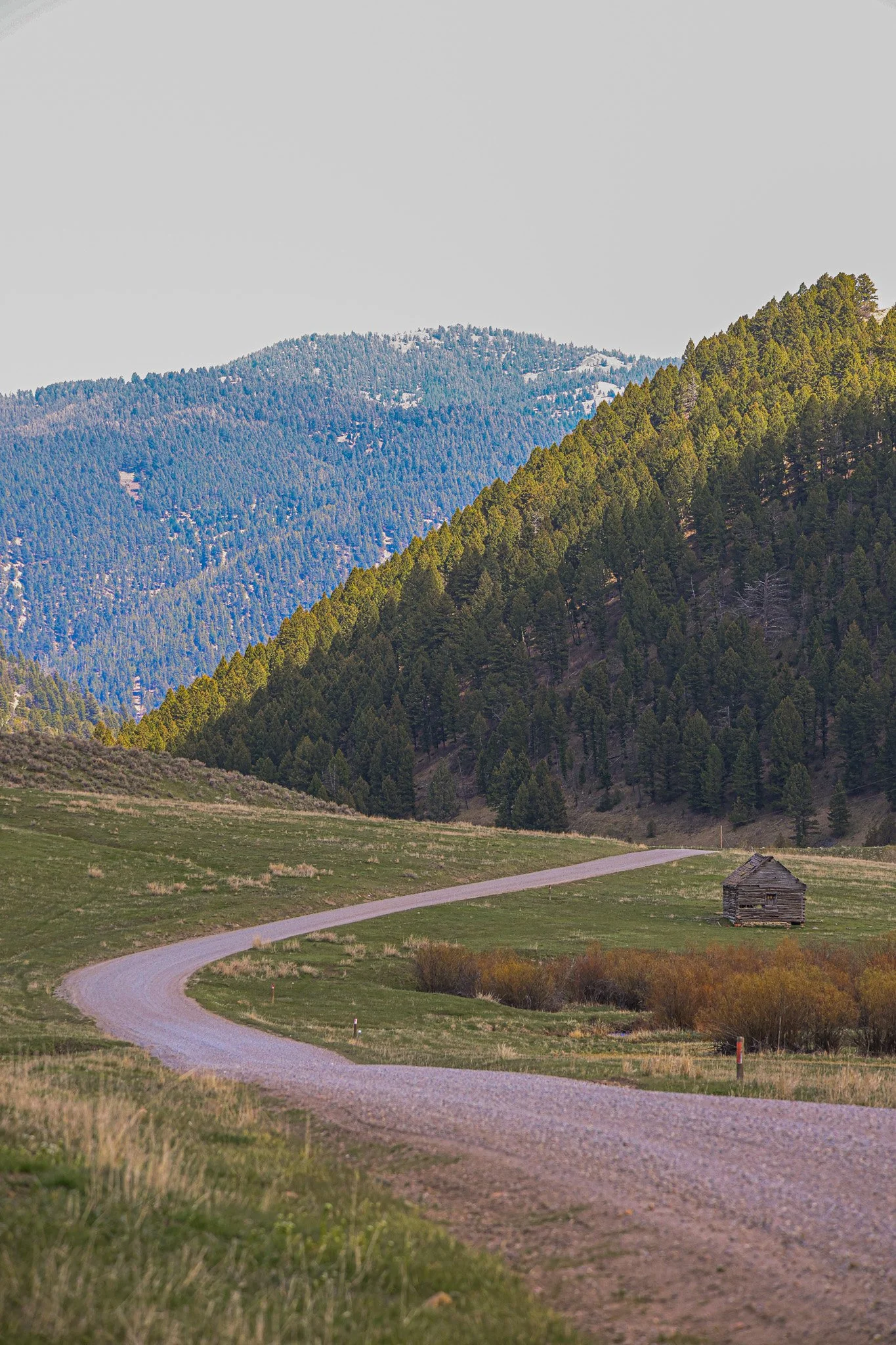 A winding gravel path through a grassy field bordered by a small wooden shed, with forested hills in the background under a clear sky.