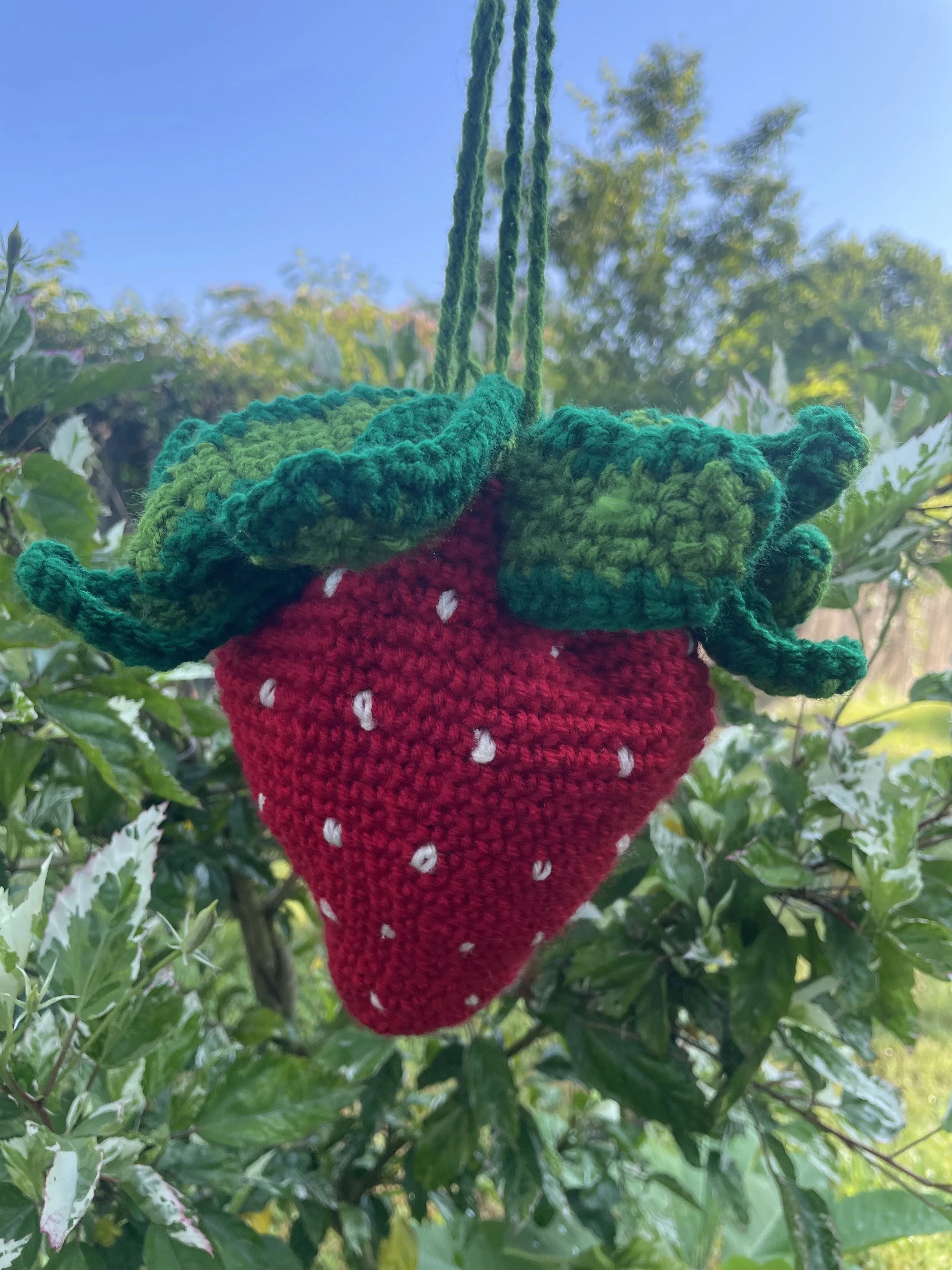 Strawberry Cross-body
