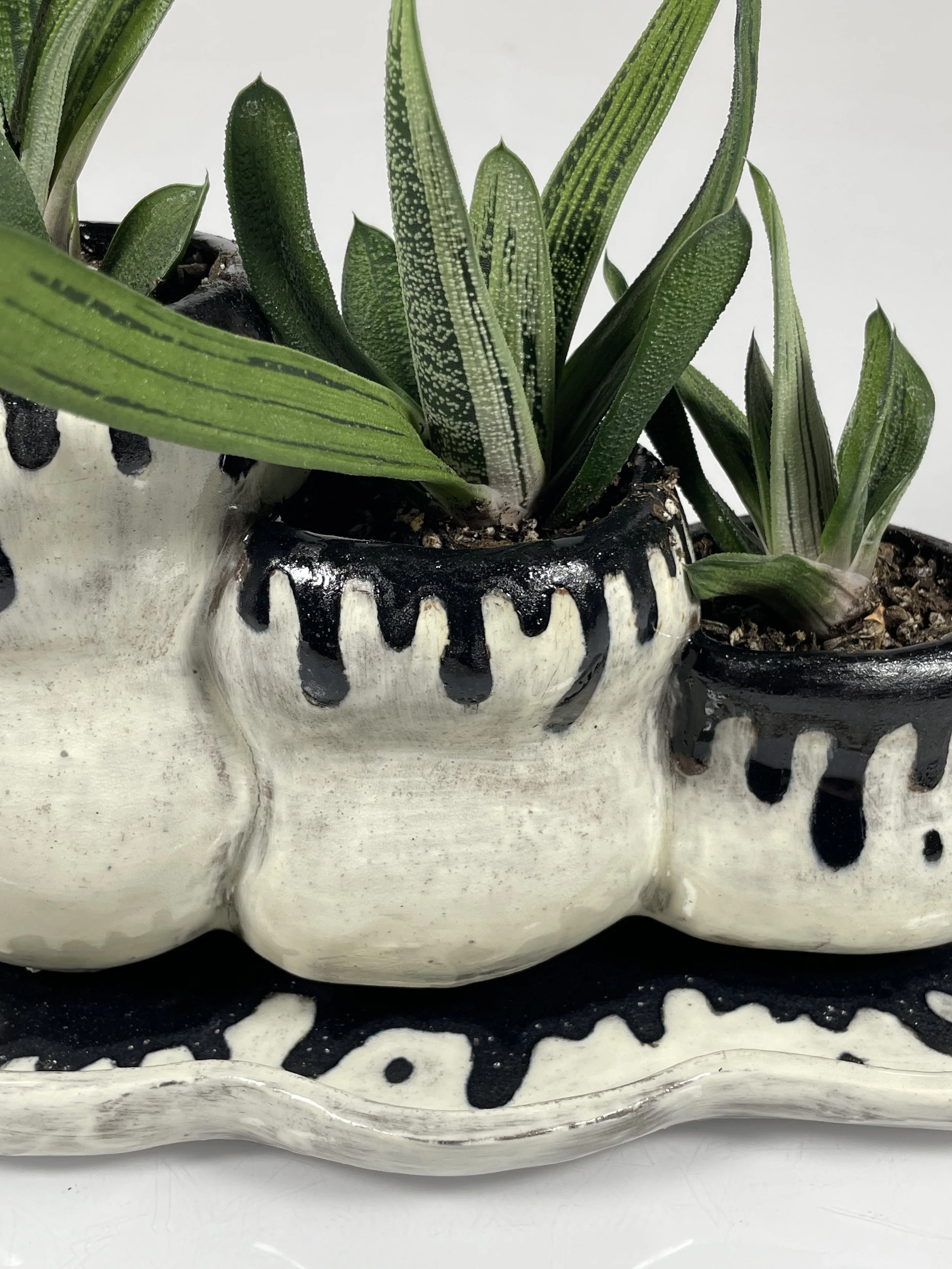 Drips. Planter. 2024.