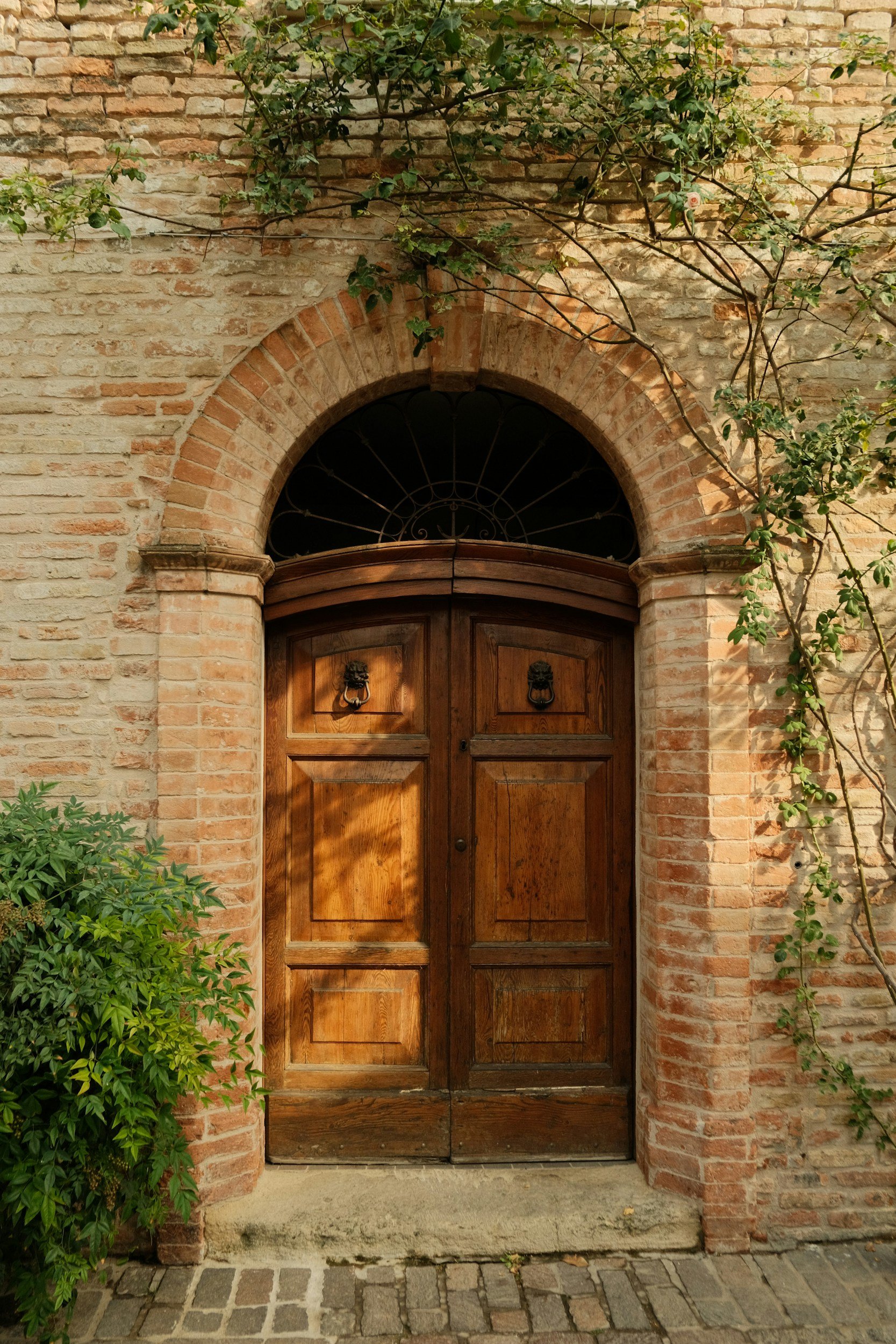An open doorway filled with soft natural light, symbolizing a quiet invitation to pause and begin.