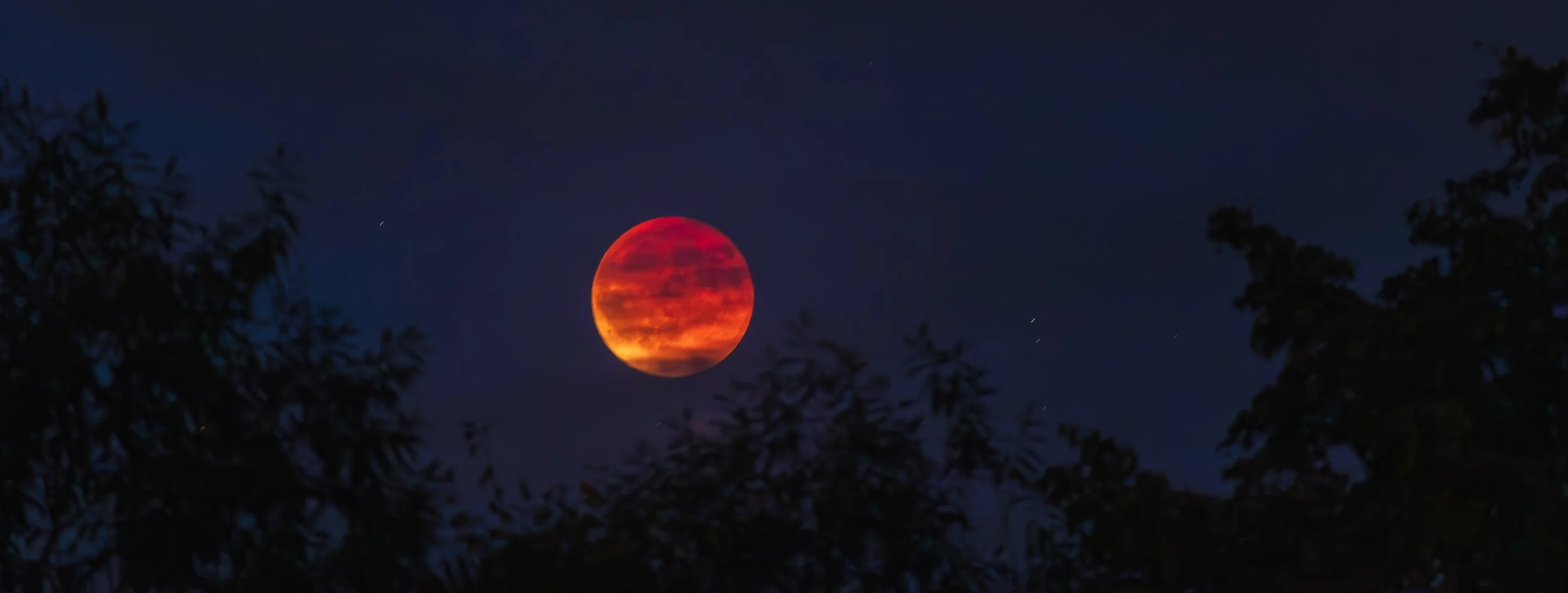 Under the Blood Moon