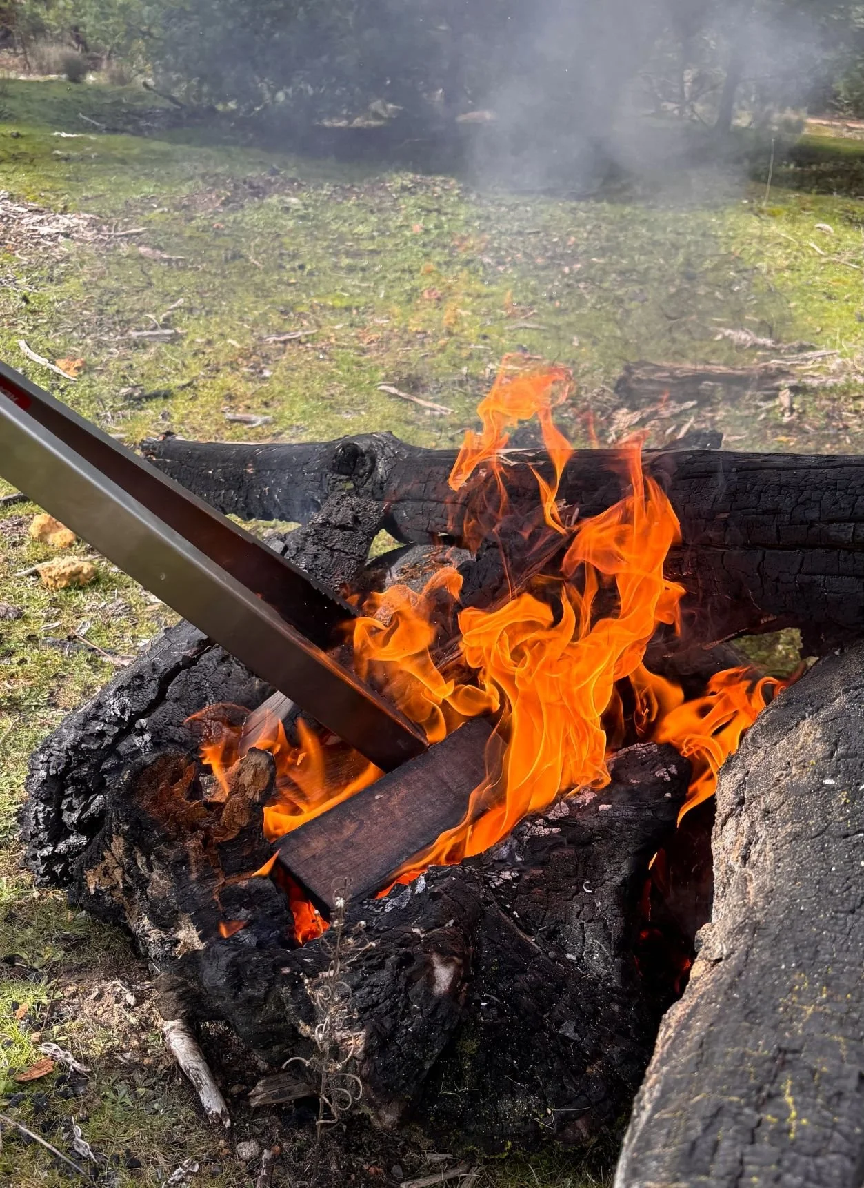 Standard Campfire Bundle