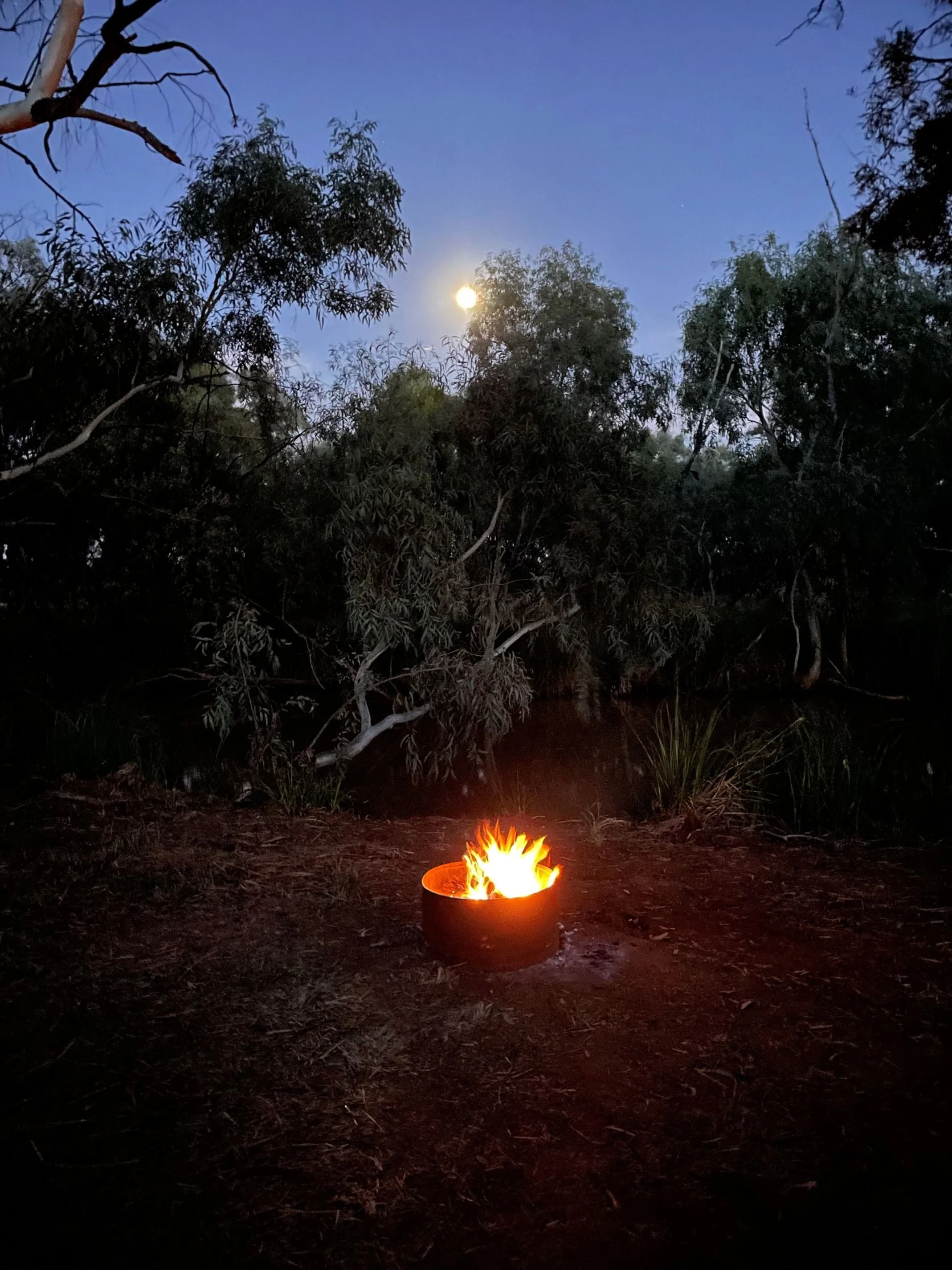 Tongs for Tossers are Night Time Camping with Tongs for Tossers Fire Tongs