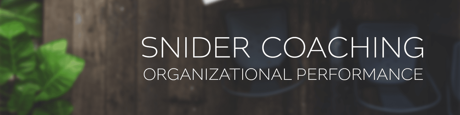 DAVID  SNIDER  • ORGANIZATIONAL PERFORMANCE COACH 