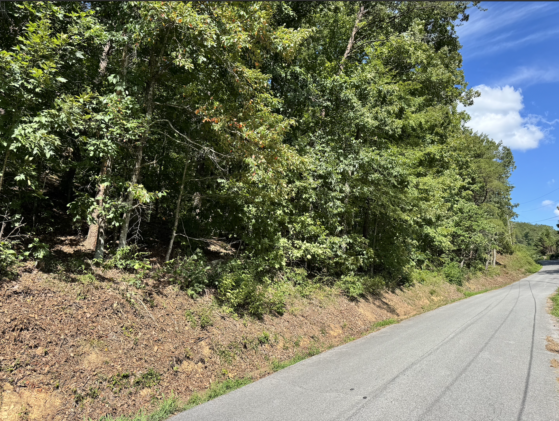 Screenshot 2026-01-10 at 8.31.44 PM.png