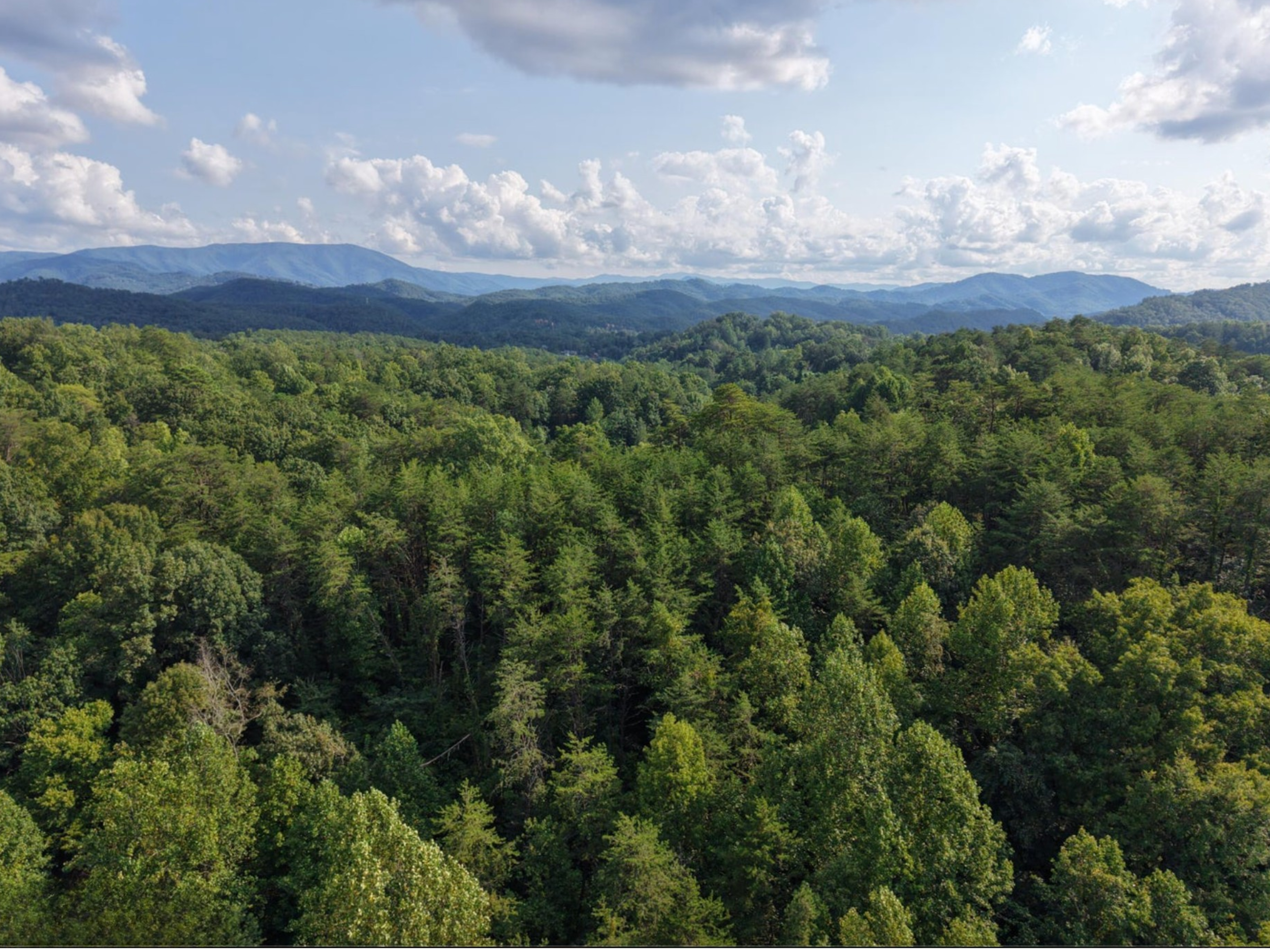 Untitled design (3).png