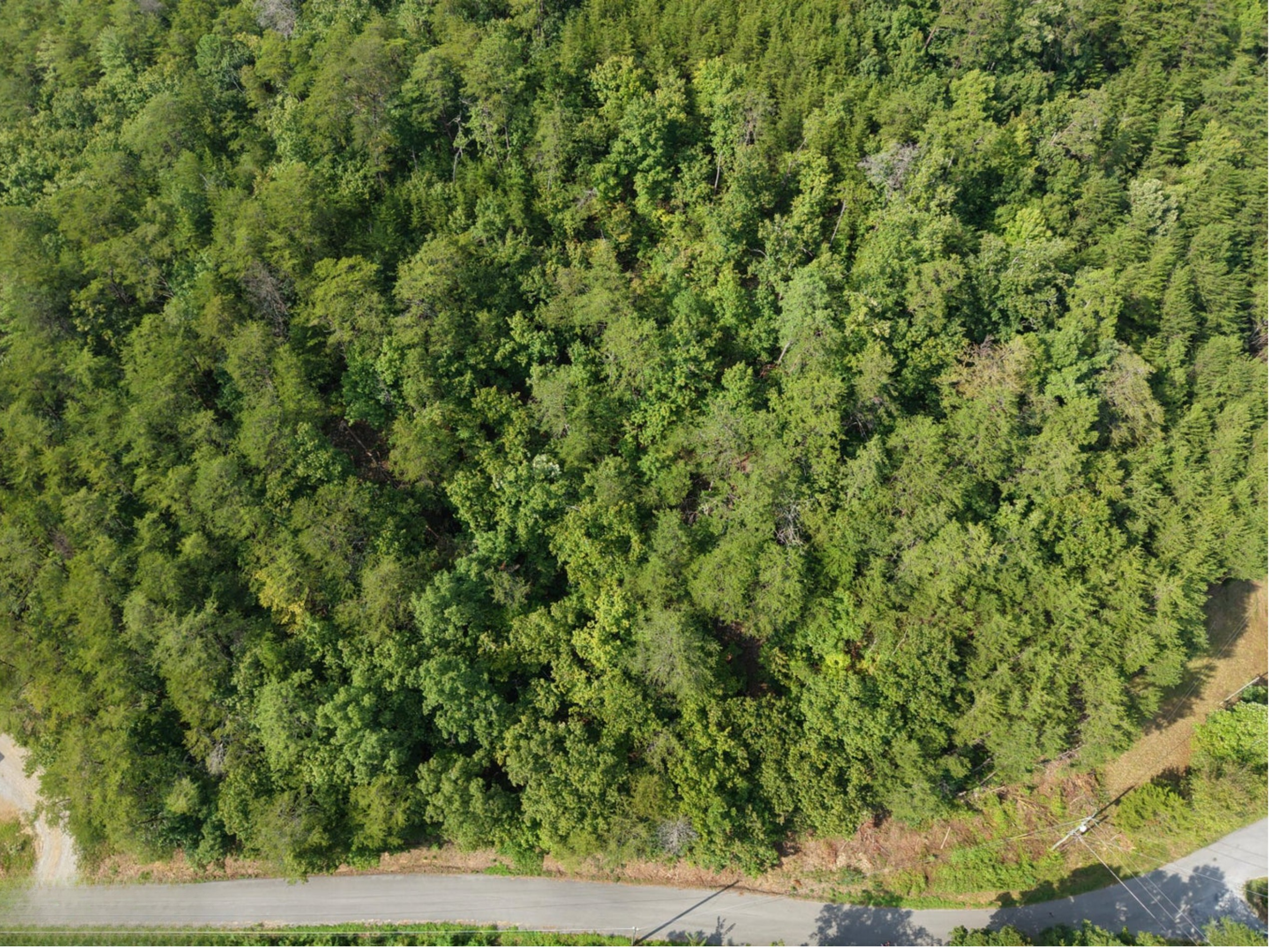 Helton Rd, Sevierville, TN 37876