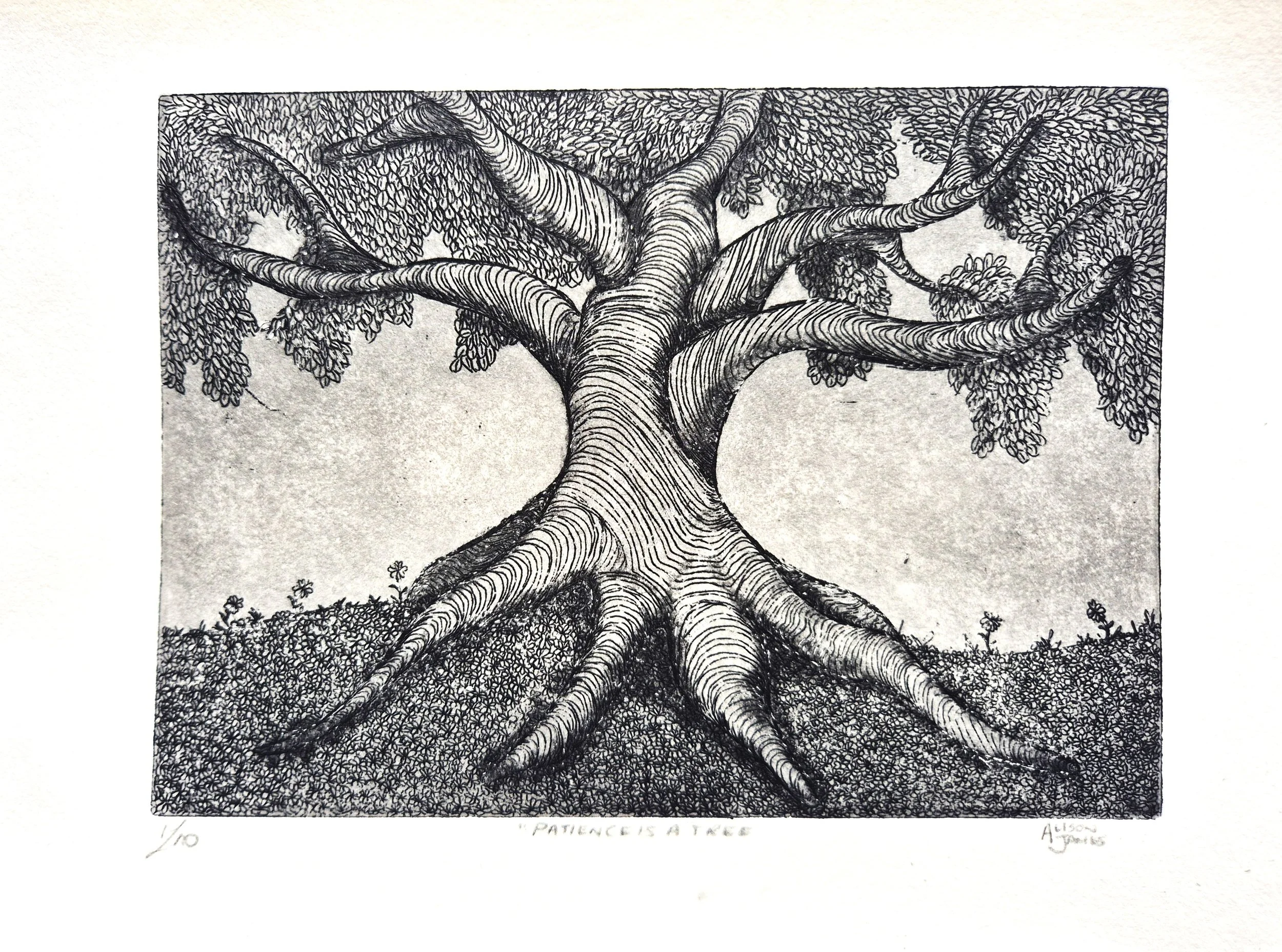 Alison James_Patience is a Tree2.jpg