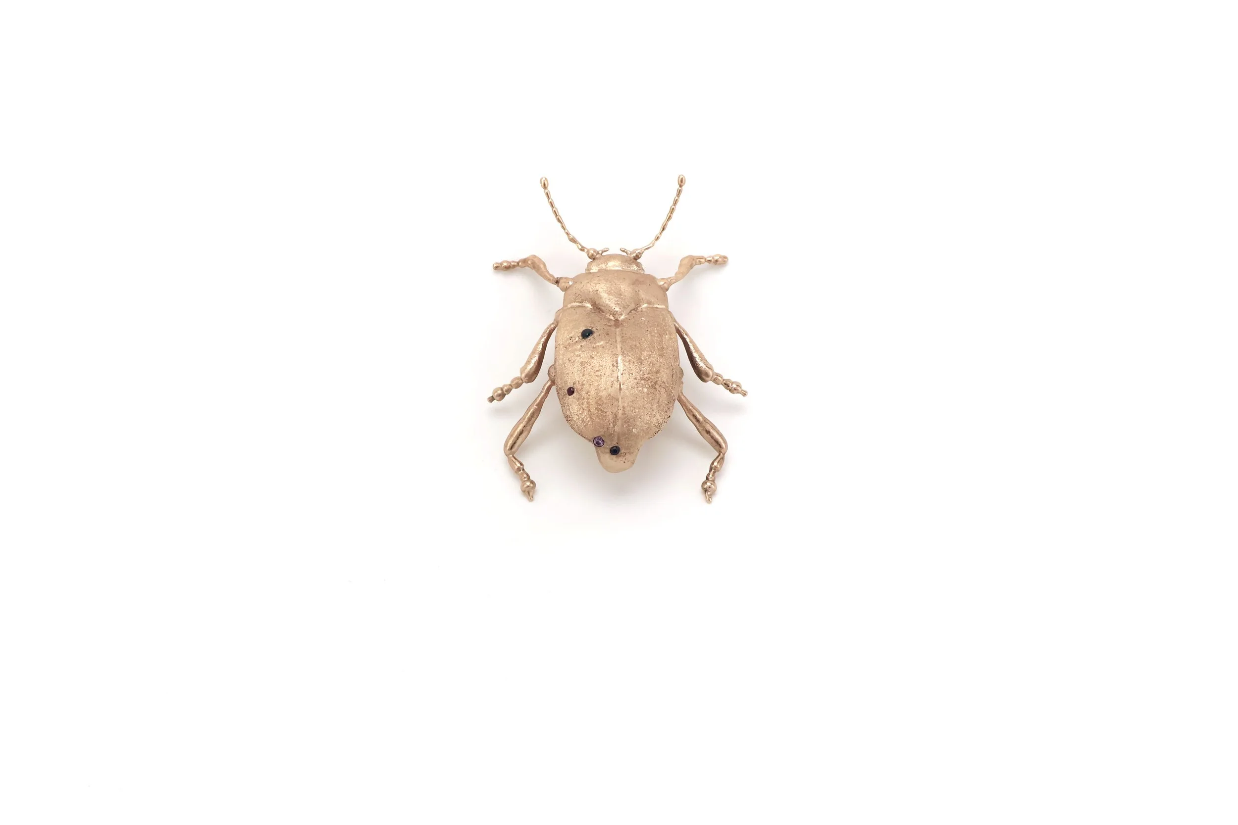 Li_Weiwei_beetle front.jpg