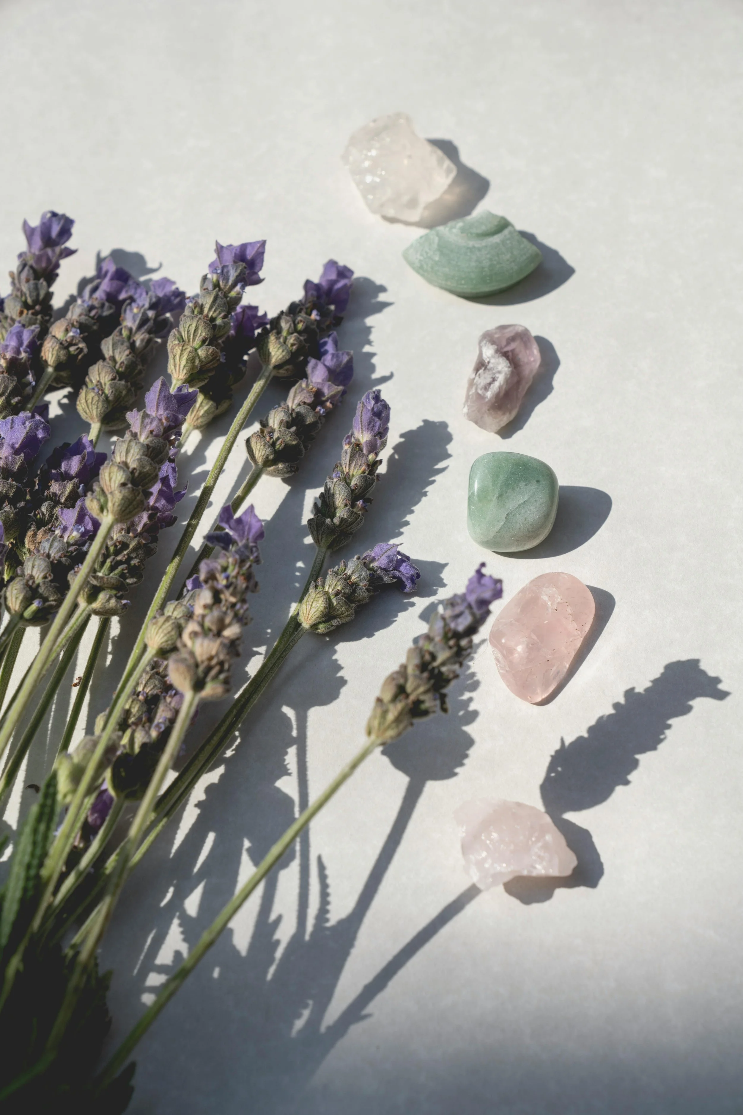 A bunch of purple lavender flowers and six assorted raw gemstones and crystals on a white surface with shadows at an affordable massage therapy spa near milton, delaware.