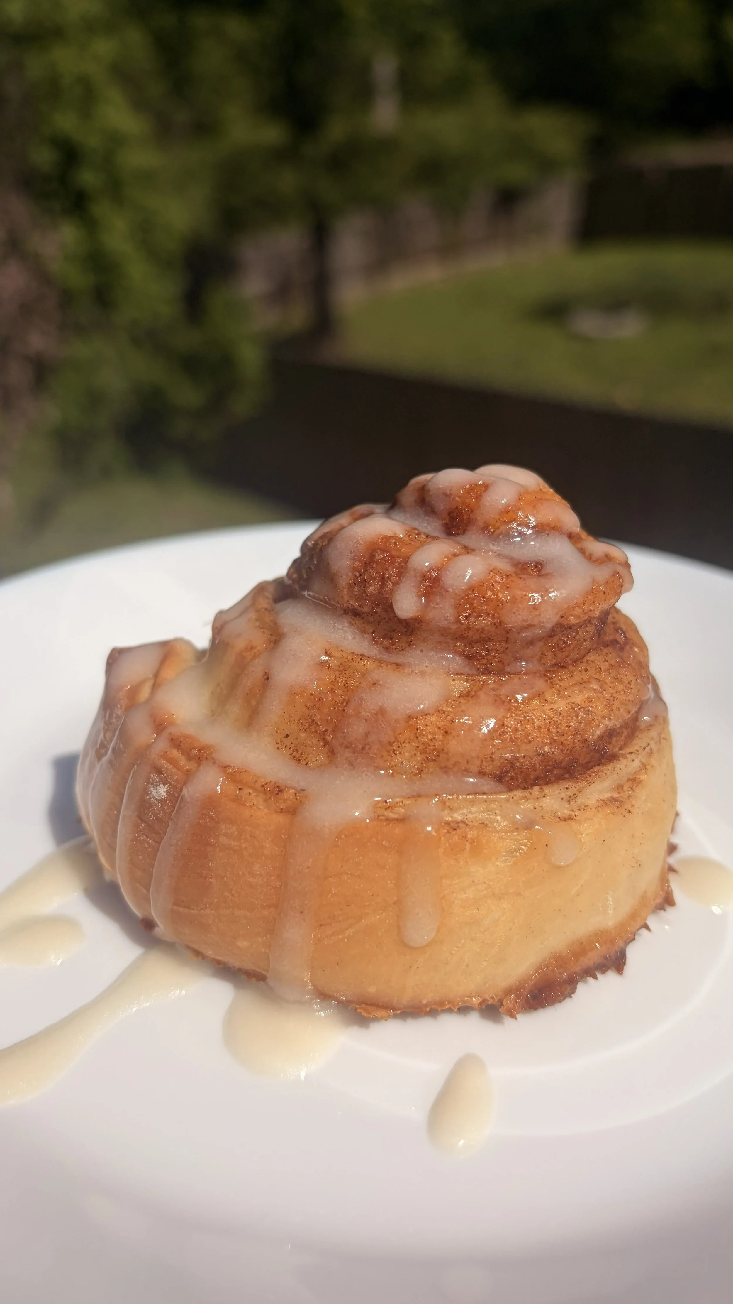 Sourdough Cinnamon Rolls