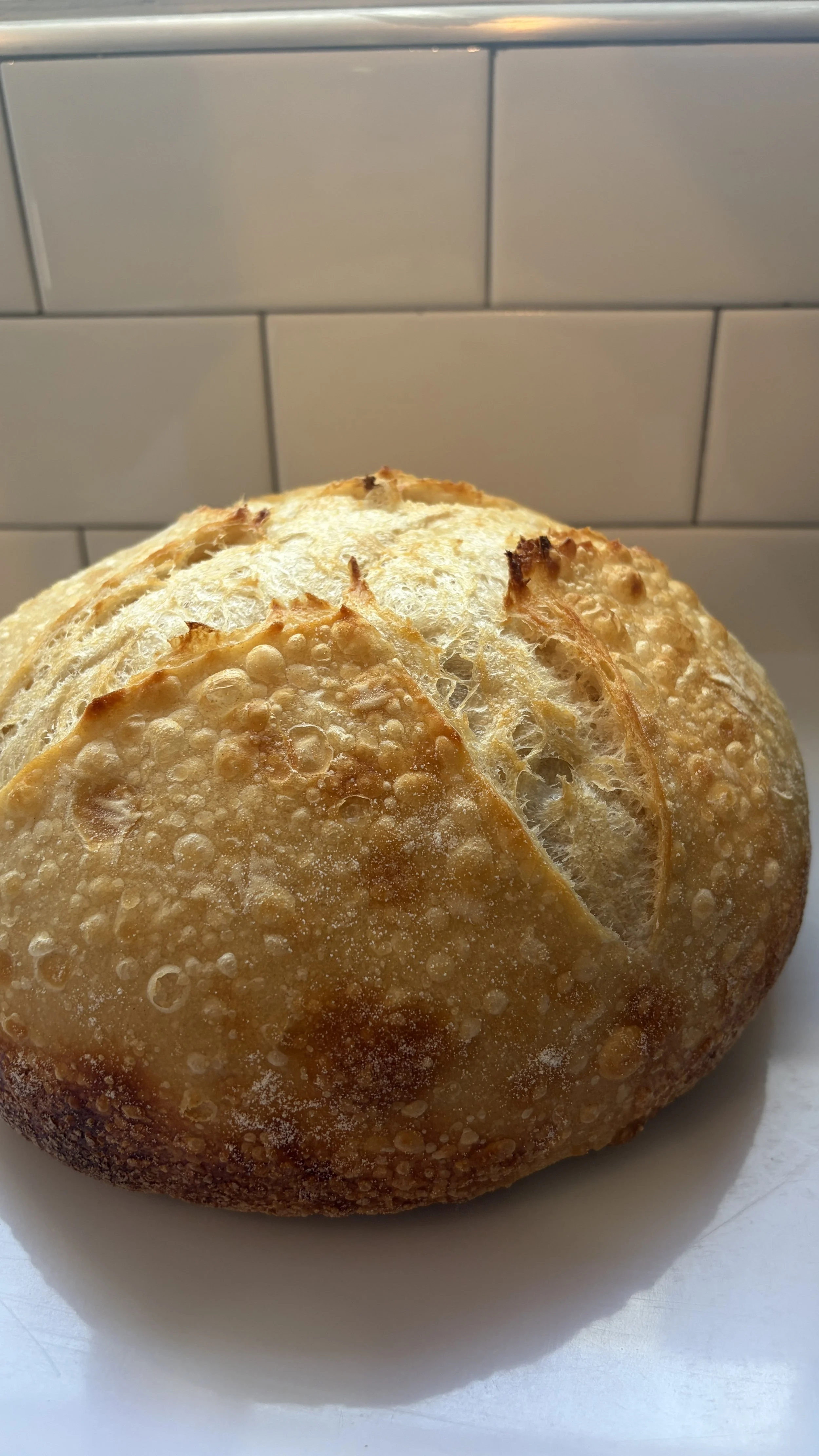 Sourdough Loaf