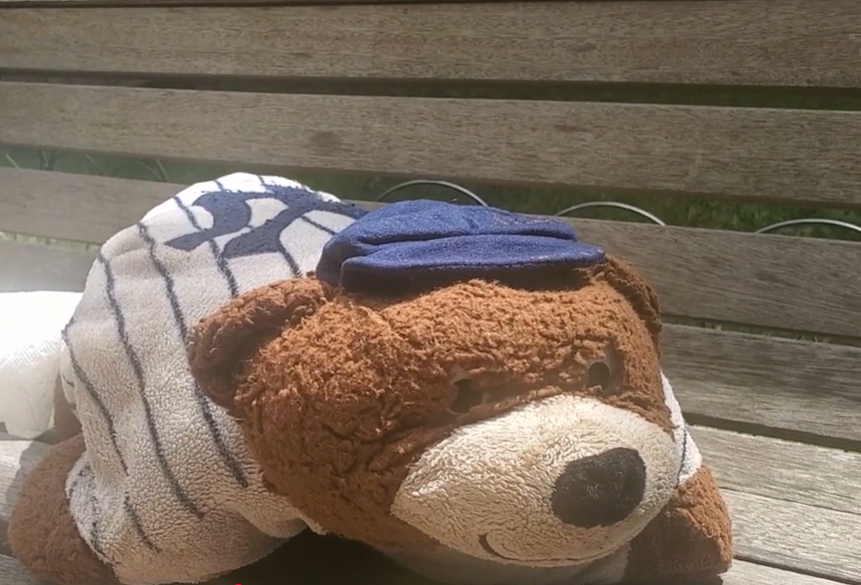 The Pillow Pet Vanishing (2021)