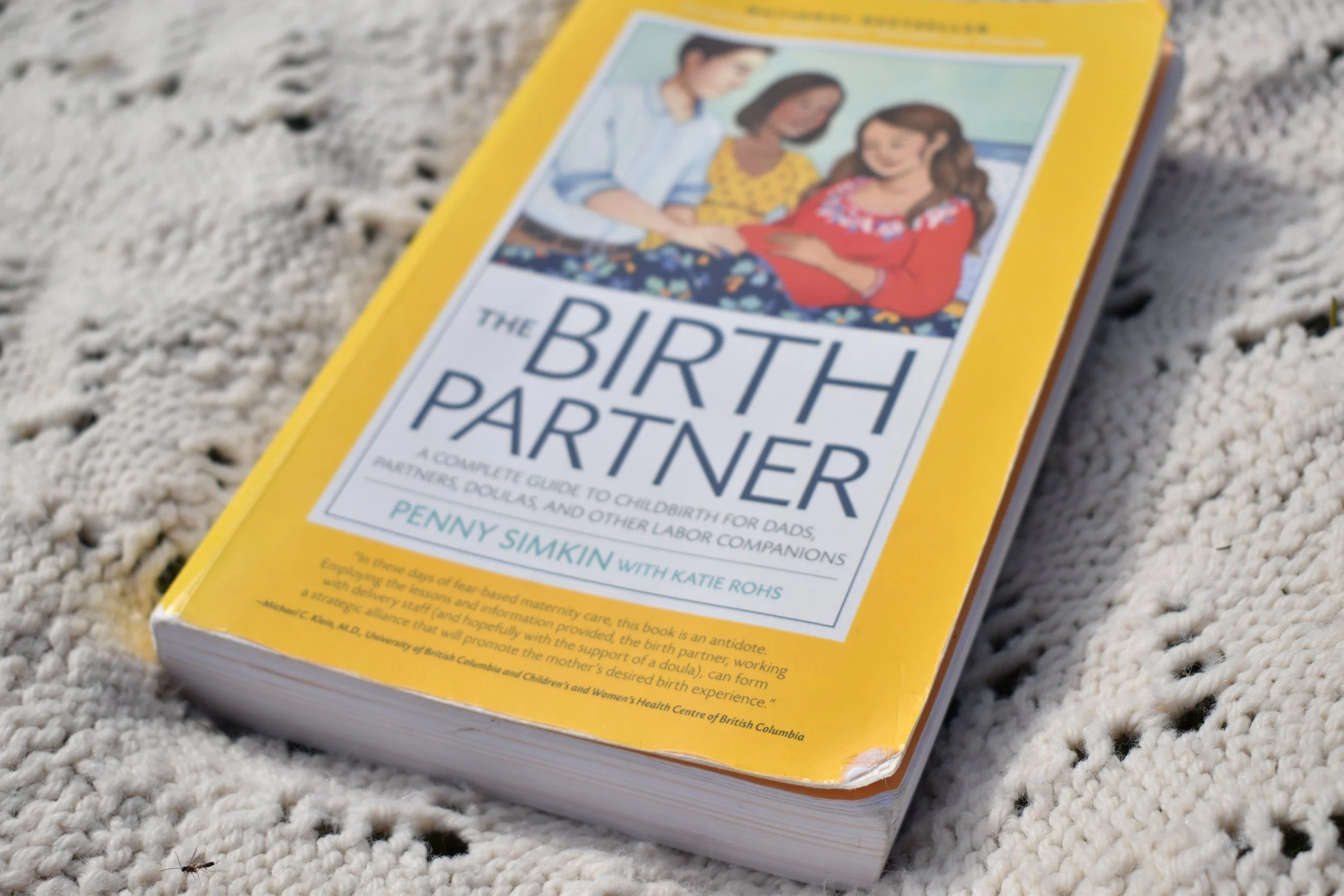 A yellow book titled 'The Birth Partner' resting on a textured white surface. The cover features an illustration of three women, one pregnant, with a background of blue sky and fields.