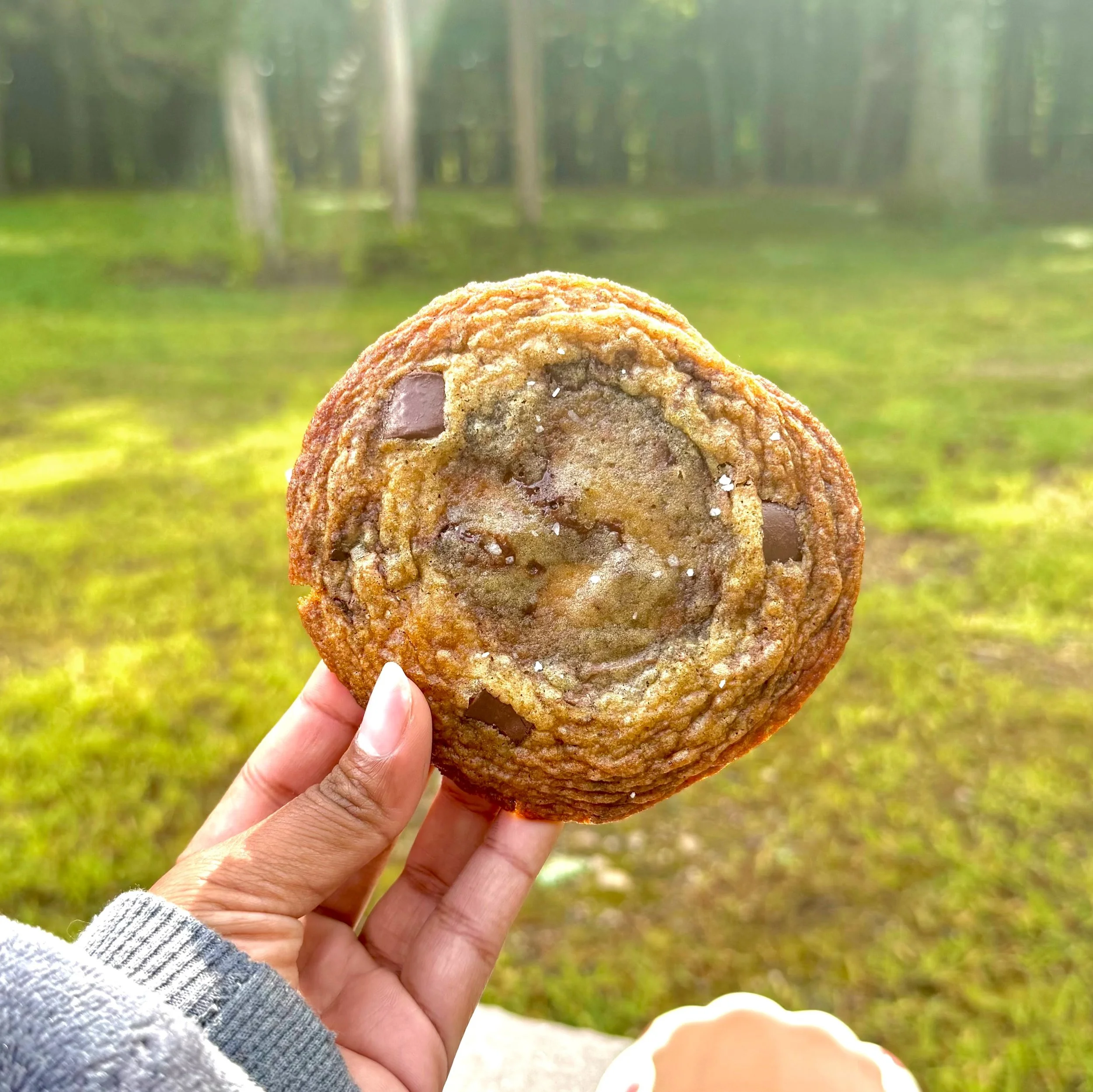 Brown Butter Chocolate Chip Cookies