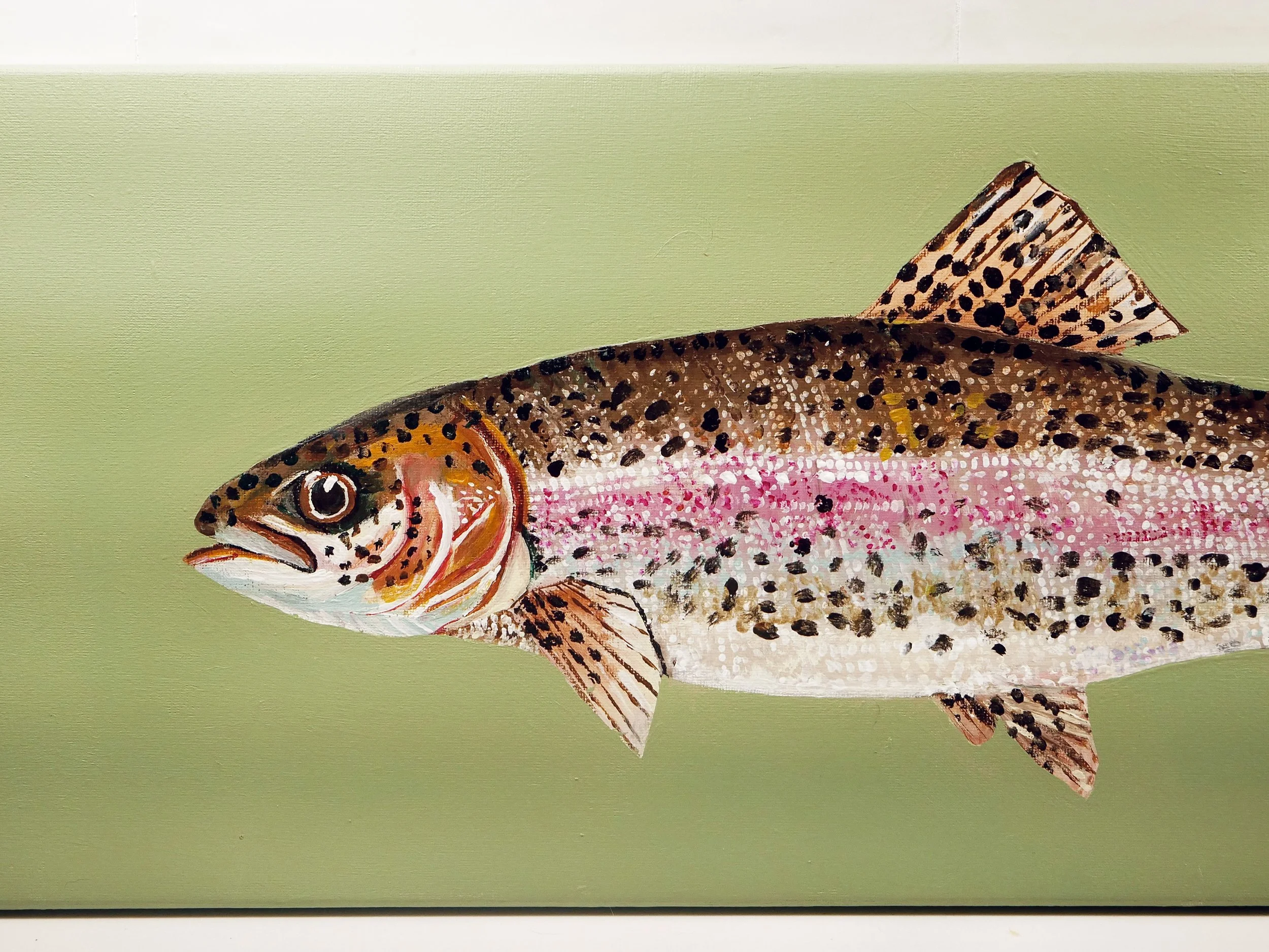 Painted illustration of a rainbow trout fish with pink, orange, and black spots on a green background.