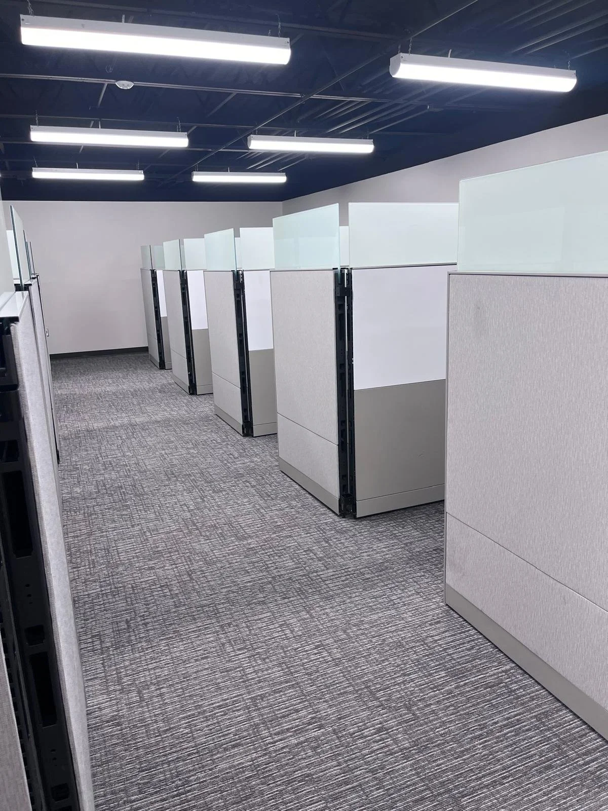 WhatsApp Image 2026-02-05 at 9.39.40 PM.jpeg