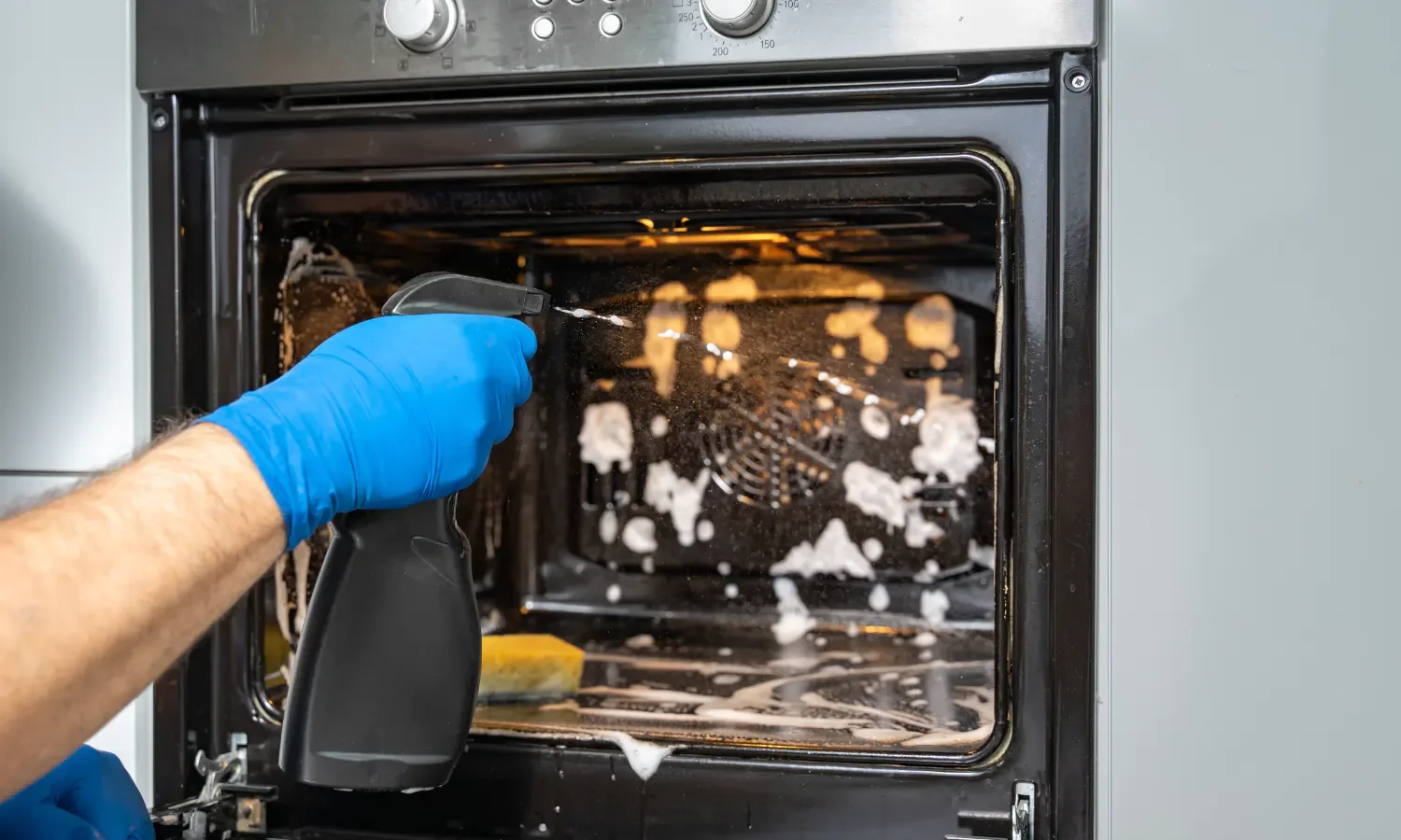 Appliances Interior Cleaning (Refrigerator & Oven)