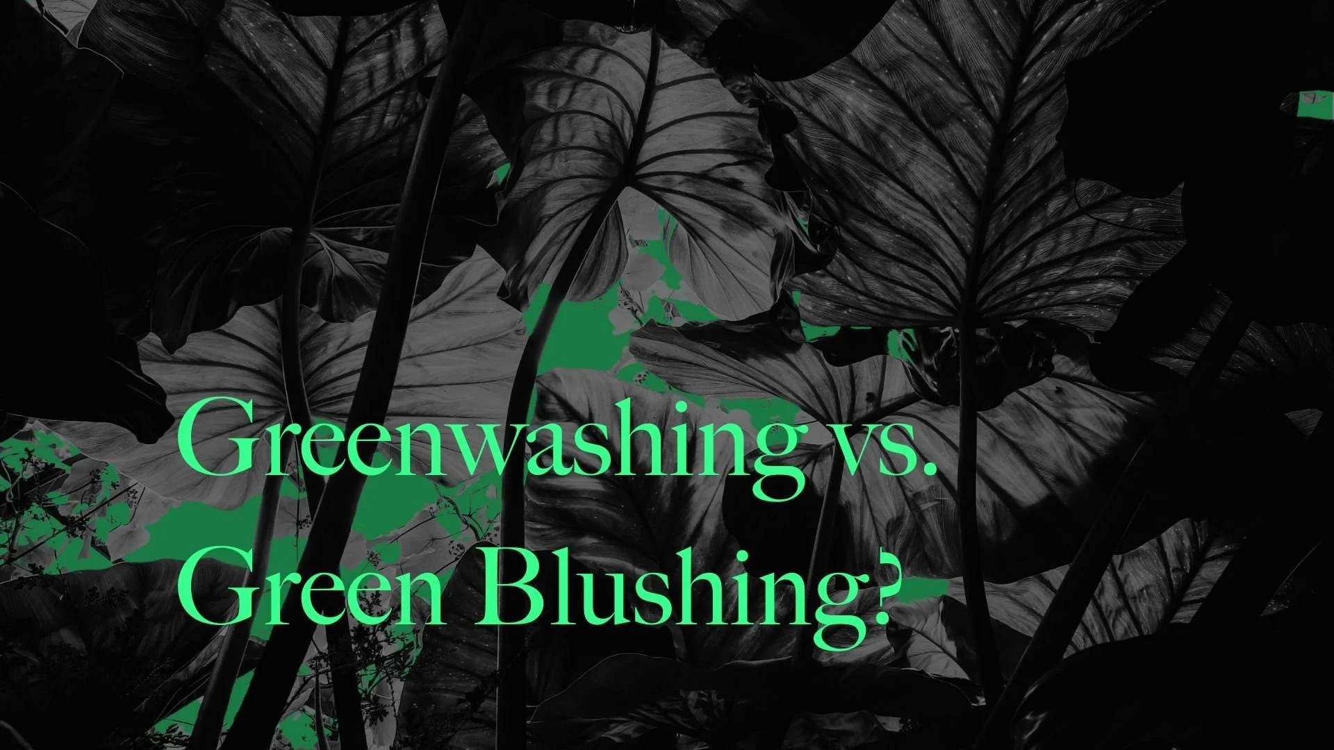 Greenwashing vs. Green Blushing: What's all the buzz?