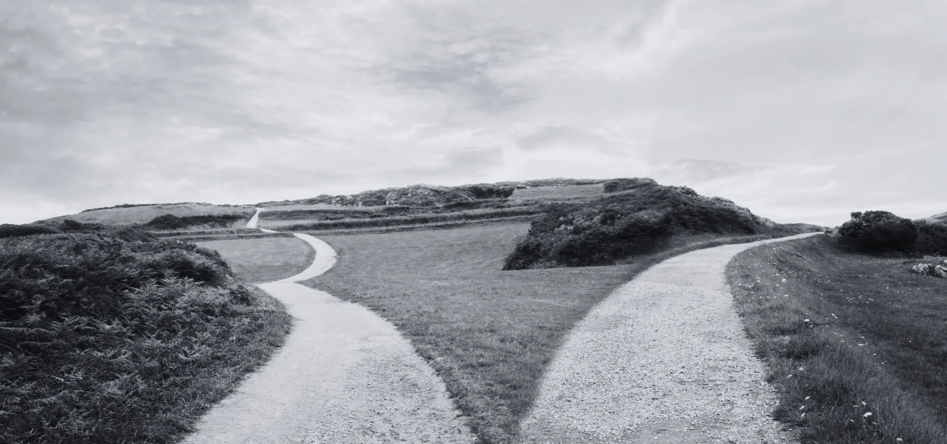 B Corp Certification in 2026: The New Value Proposition for Canadian Brands