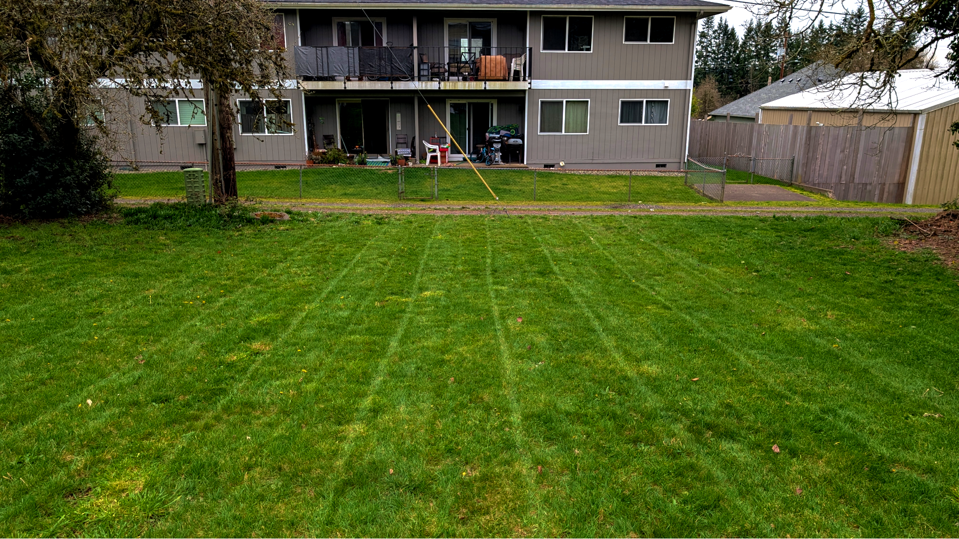 Backyard with freshly mowed lawn, fenced yard, and a gray multi-story house with balconies in the background. There are trees on the sides, and outdoor furniture and bicycles on the porch.