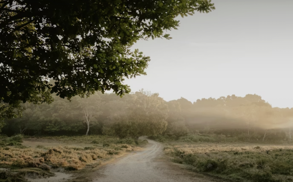 A dirt path winding through a grassy, wooded landscape with trees and a soft, hazy sky.