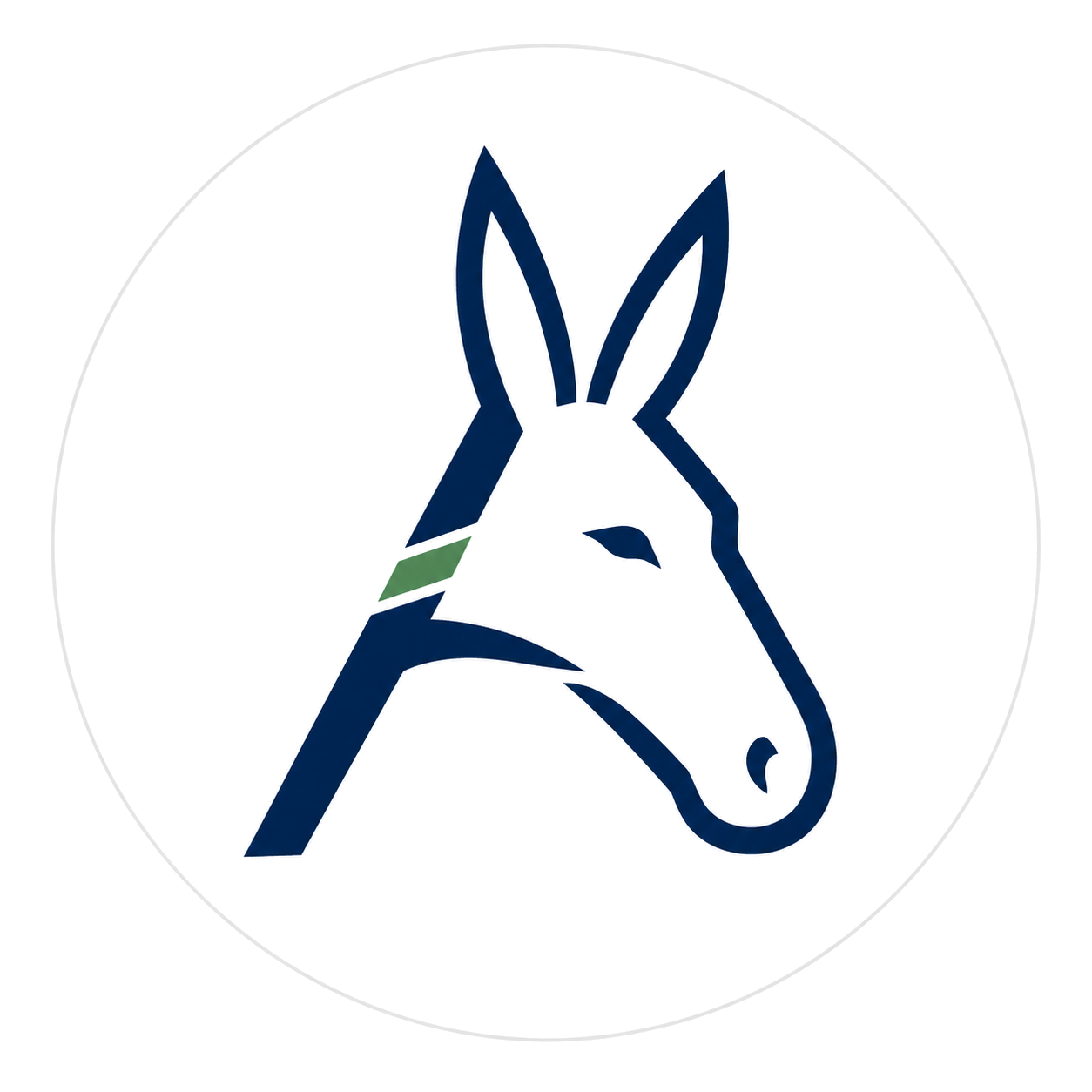 Akamai_mule_icon_transparent.png