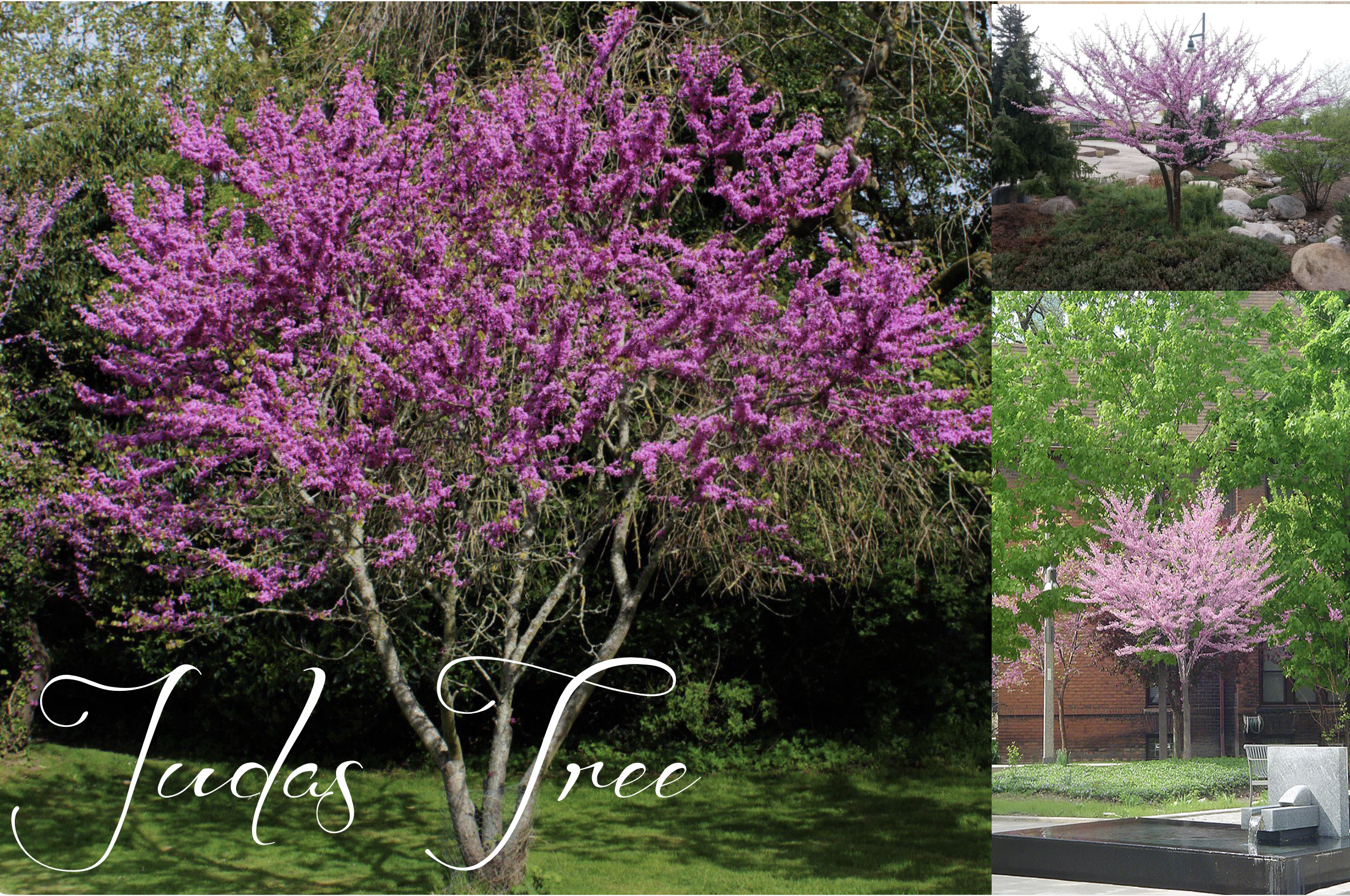 Screenshot 2026-01-22 at 4.23.23 AM.png