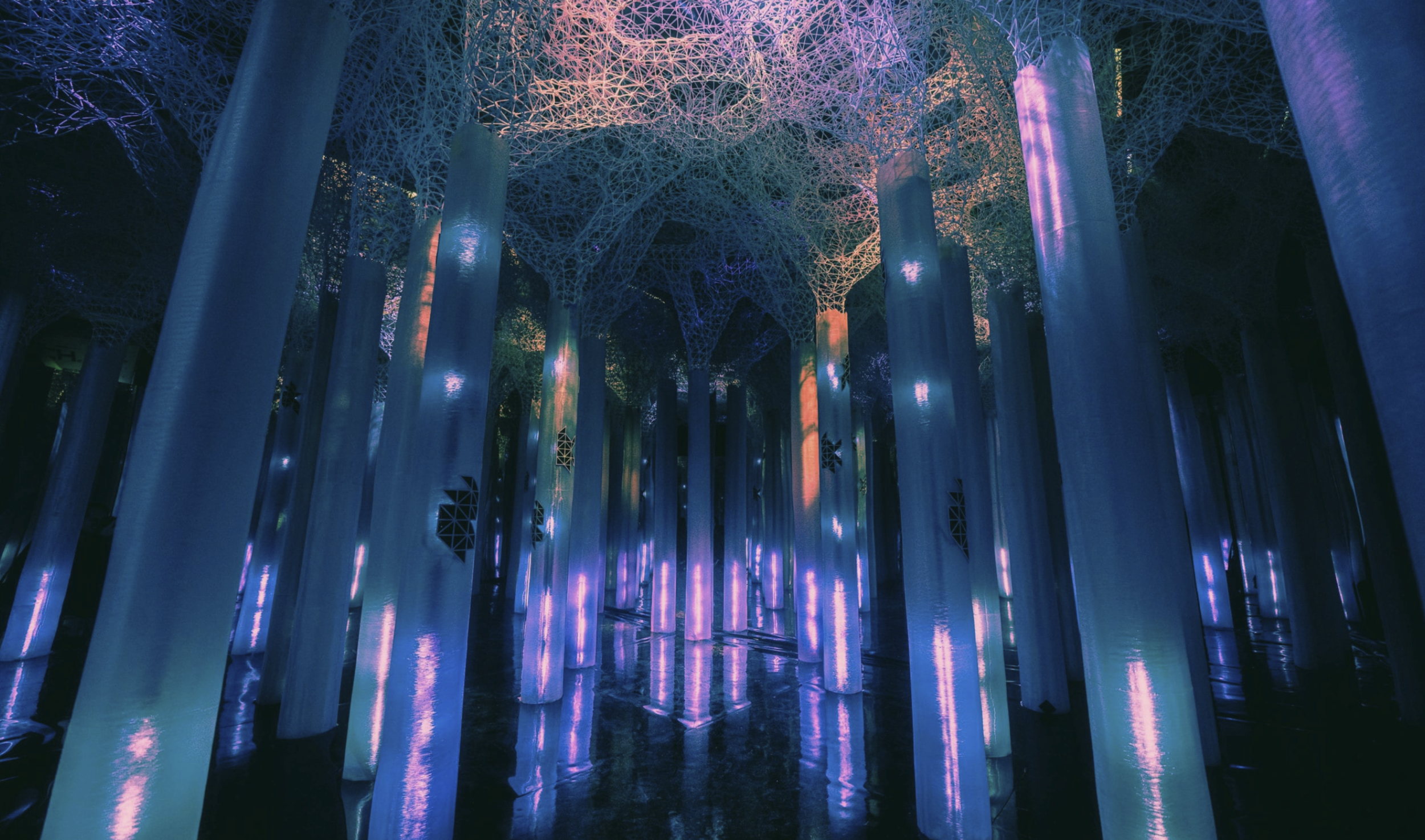 Screen Shot 2021-05-20 at 2.18.45 PM.png