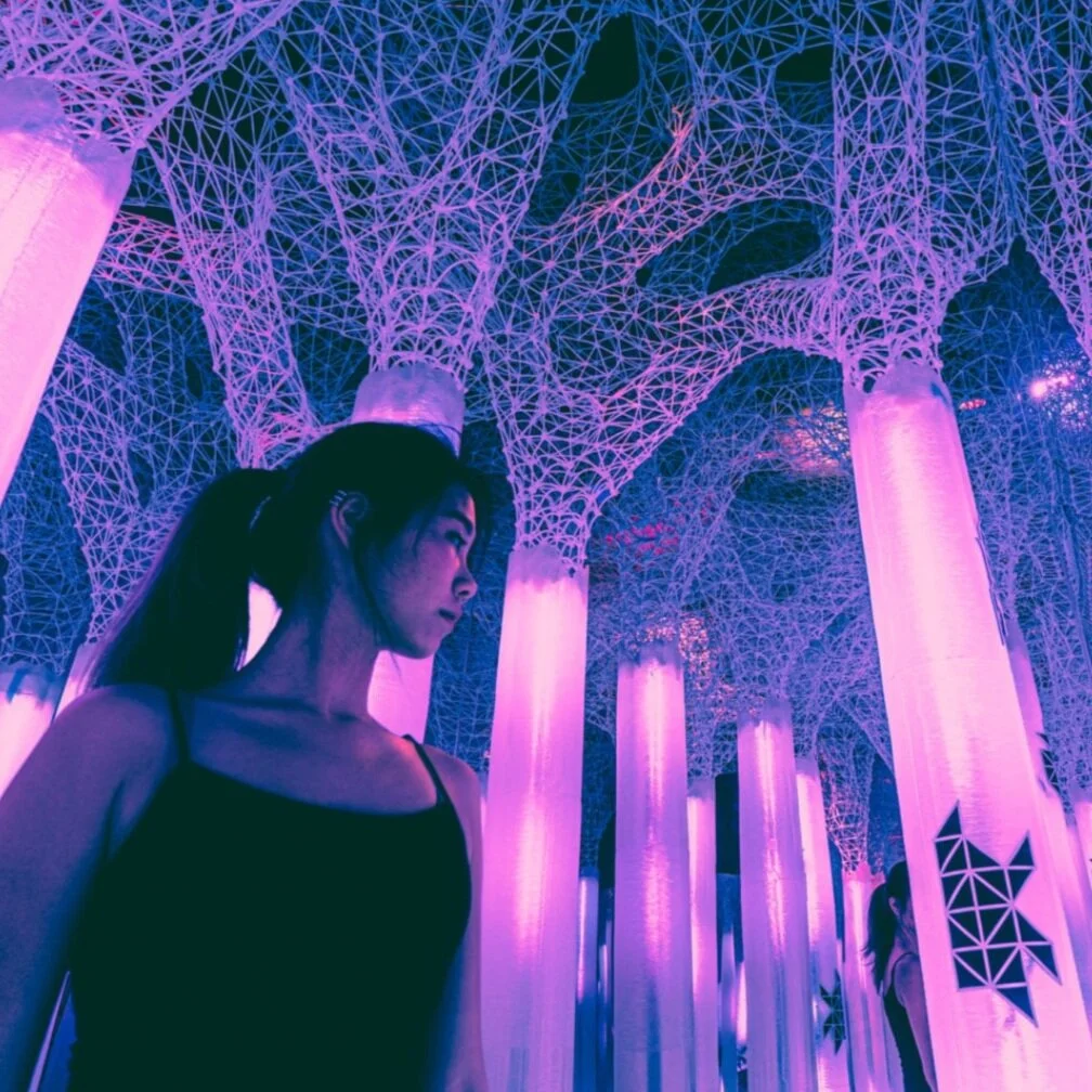 Immersive Installation