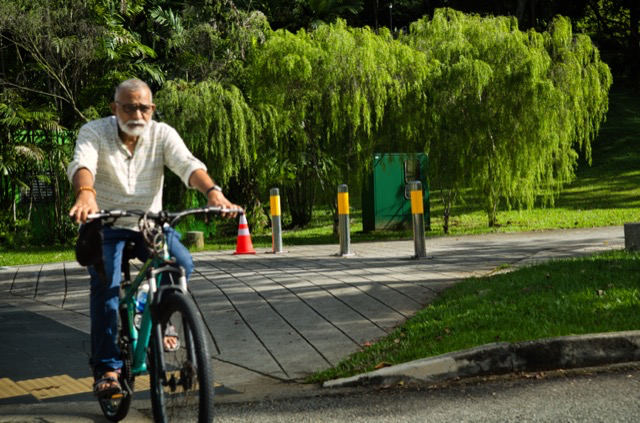An older man cycling on a path in a park with green trees and shrubs in the background.